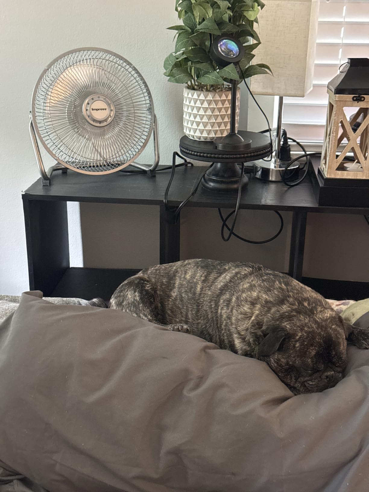 Impress 9-Inch Diameter High-Velocity Fan customer photo 1