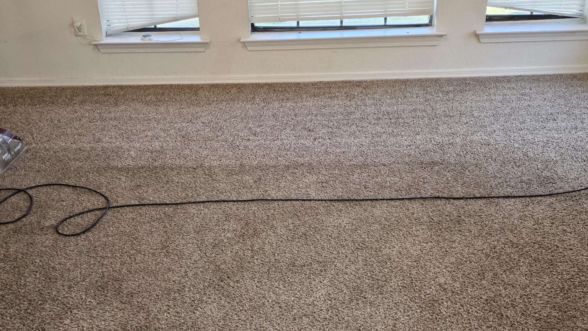 Hoover PowerScrub Deluxe Carpet Cleaner Machine, Deep Cleaning Carpet Shampooer Machine, SpinScrub Brushes, HeatForce Drying, Pet & Upholstery Tools, Pair with Hoover Carpet Cleaner Solution customer photo 1