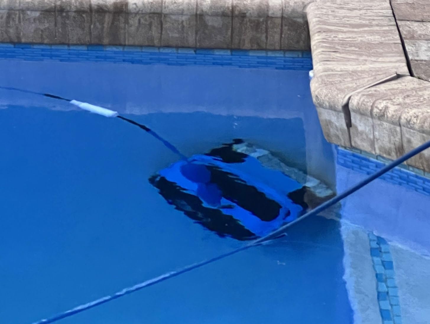Dolphin Nautilus CC Plus Automatic Robotic Pool Vacuum Cleaner, Wall Climbing Scrubber Brush, Smart Navigation, Ideal for In-Ground Pools up to 40FT customer photo 2