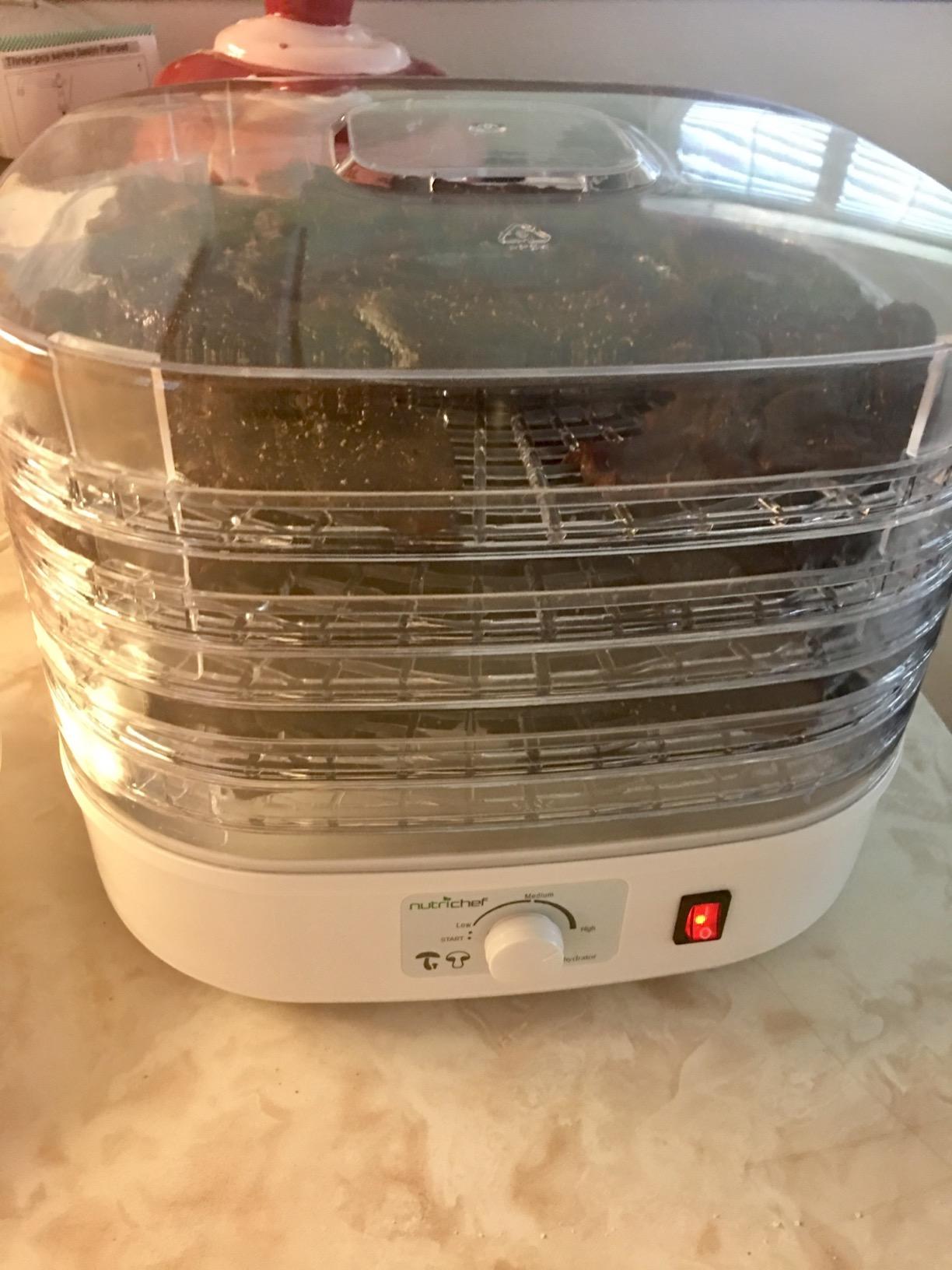 NutriChef Food Dehydrator Machine | Dehydrate Beef Jerky, Meats, Mushrooms, Fruits & Vegetables | Great For At Home Use | Uses High-Heat Circulation for Even Dehydration | 5 Easy to Clean Trays customer photo 1
