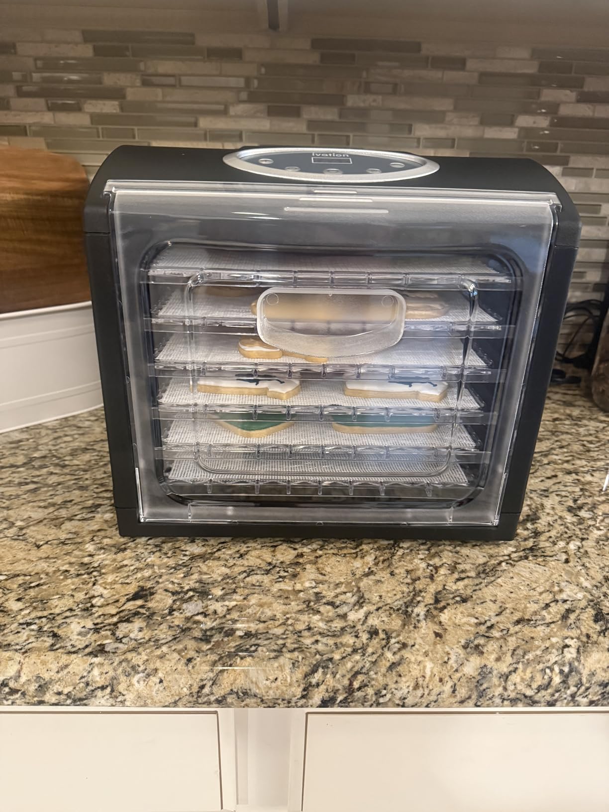 Ivation 6 Tray Countertop Digital Food Dehydrator Drying Machine 480w with Preset Temperature Settings, Auto Shutoff Timer and Even Heat Circulation for Beef Jerky, Fruits, Vegetables & Nuts customer photo 1