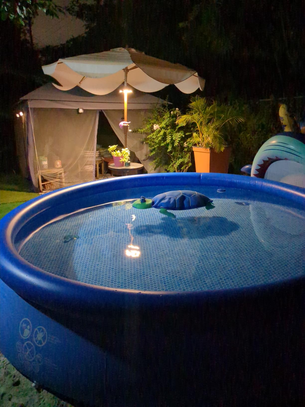 Intex Easy Set 13ft x 33in Inflatable Ring Above Ground Pool Set w/Pump | 28141EH - 530 GPH Cartridge Filter Pump and Type A Filter Cartridge Included customer photo 2