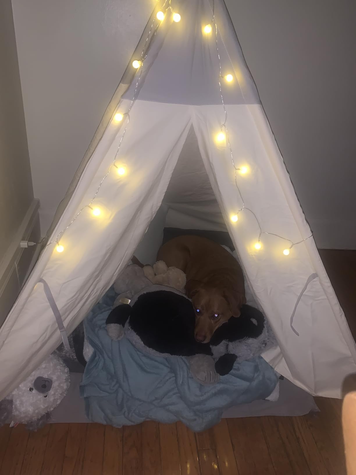 besrey Teepee Tent for Kids, Cotton Canvas Play Tent with Lights & Mat, Sturdy Toddler Tipi Tent Playhouse for Boys Girls, Foldable Indoor Outdoor Camping Reading Hideaway | 47.2