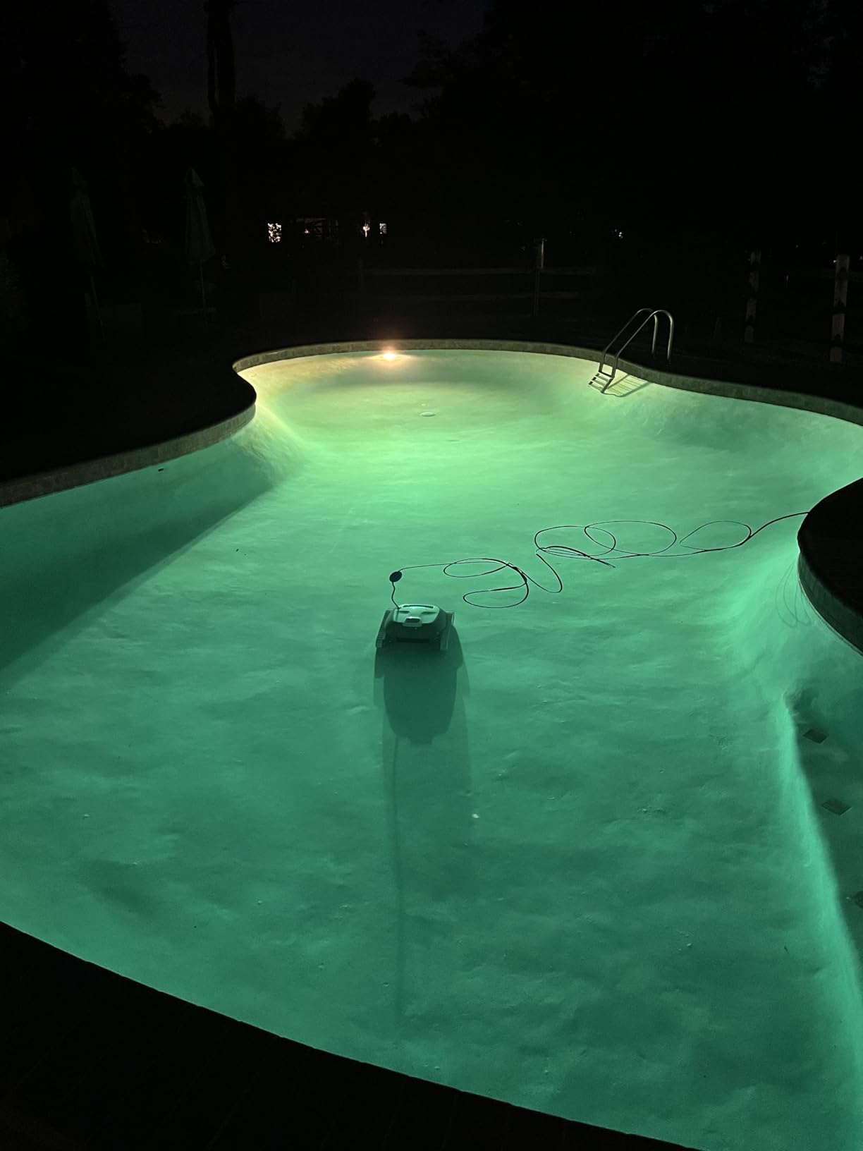 Dolphin Advantage Automatic Robotic Pool Vacuum Cleaner, Wall Climbing, Active Scrubber Brush, Ideal for In-Ground Pool Types up to 33 FT in Length customer photo 1