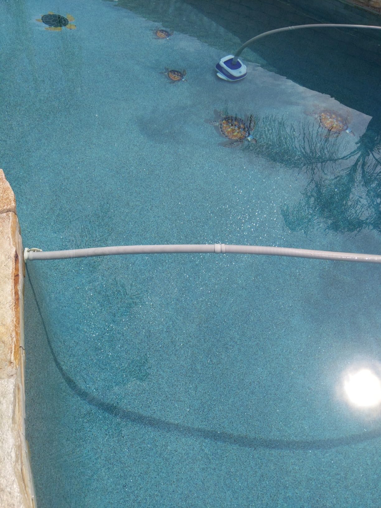 Hayward Pool Vacuum Navigator Pro Automatic Pool Vacuum for Inground Pools (Pool Cleaner for Gunite Surfaces up to 20 x 40 ft) W3925ADC customer photo 2