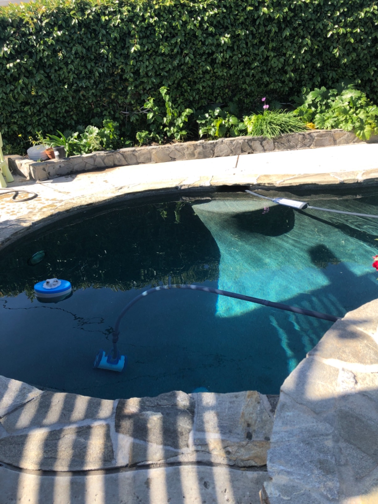 Hayward Aquanaut 200 Suction Pool Cleaner for In-Ground Pools up to 16 x 32 ft (Automatic Pool Vacuum) W3PHS21CST customer photo 1