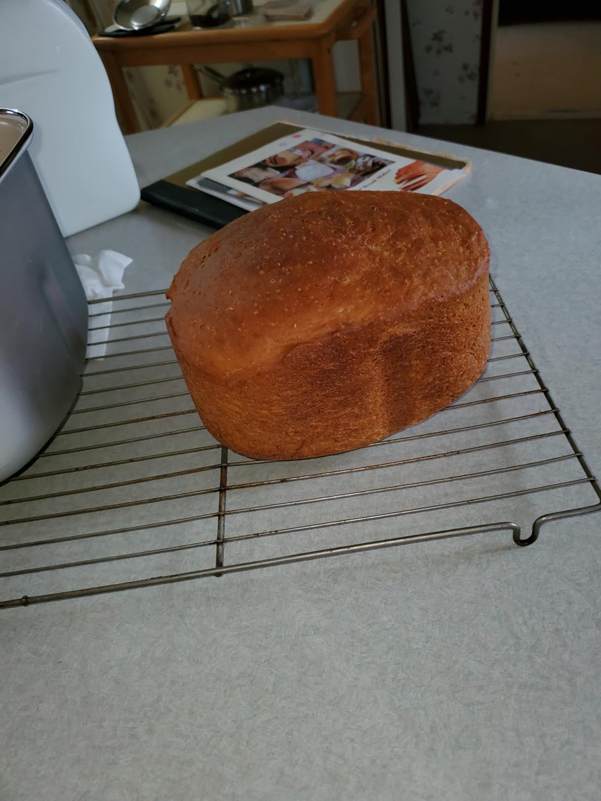 KBS Premium 2LB Convection Bread Maker Dual Heaters, 710W Stainless Steel 17-in-1 Bread Machine Healthy Ceramic Pan, Nut Dispenser, Touch Panel, 3 Loaf Sizes 3 Crust Colors, 15H Timer, Low Noise, Recipes customer photo 1