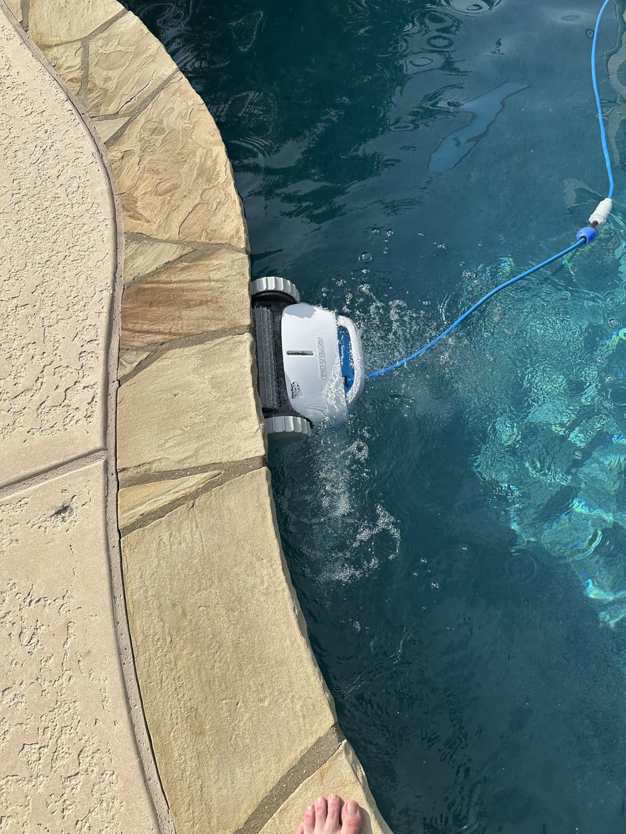 Dolphin Proteus DX4 Plus Automatic Robotic Pool Cleaner, Ideal for Pools up to 33 FT, Wall & Sun-ledge Scrubbing, Top-Load Filter, Smart Navigation customer photo 1