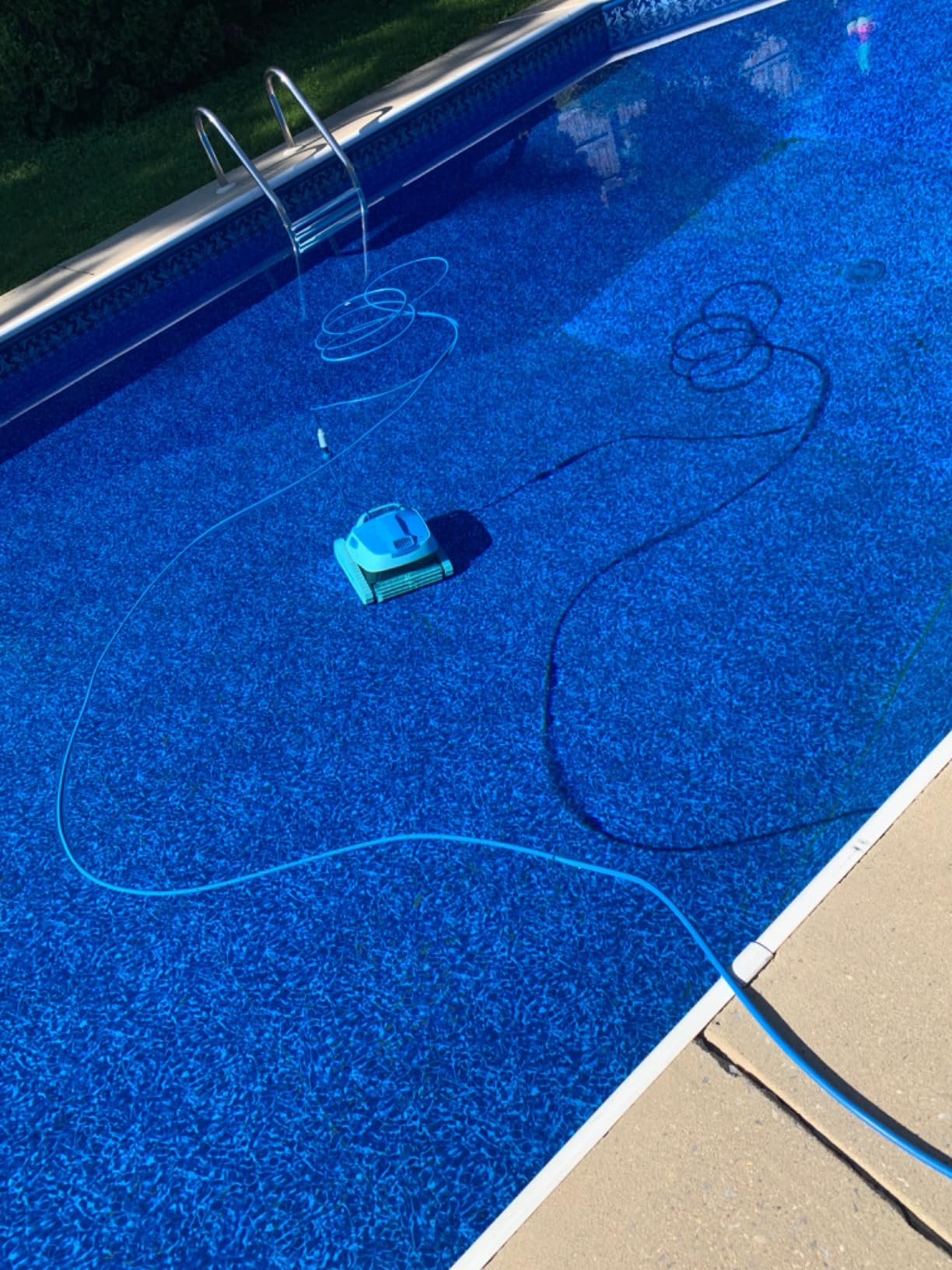 Dolphin Proteus DX4 Plus Automatic Robotic Pool Cleaner, Ideal for Pools up to 33 FT, Wall & Sun-ledge Scrubbing, Top-Load Filter, Smart Navigation customer photo 2