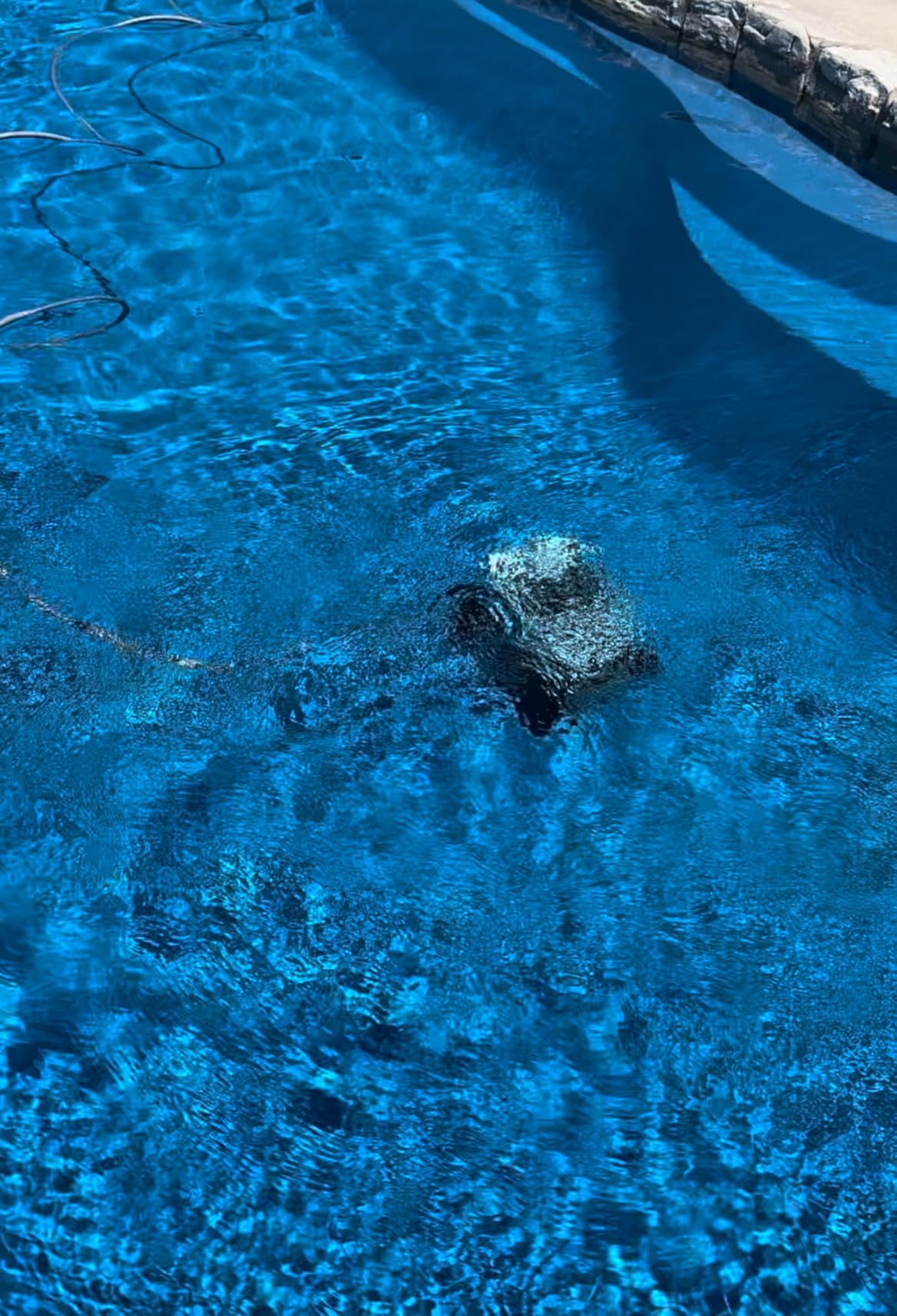 Polaris P724 In-Ground Robotic Pool Cleaner customer photo 1