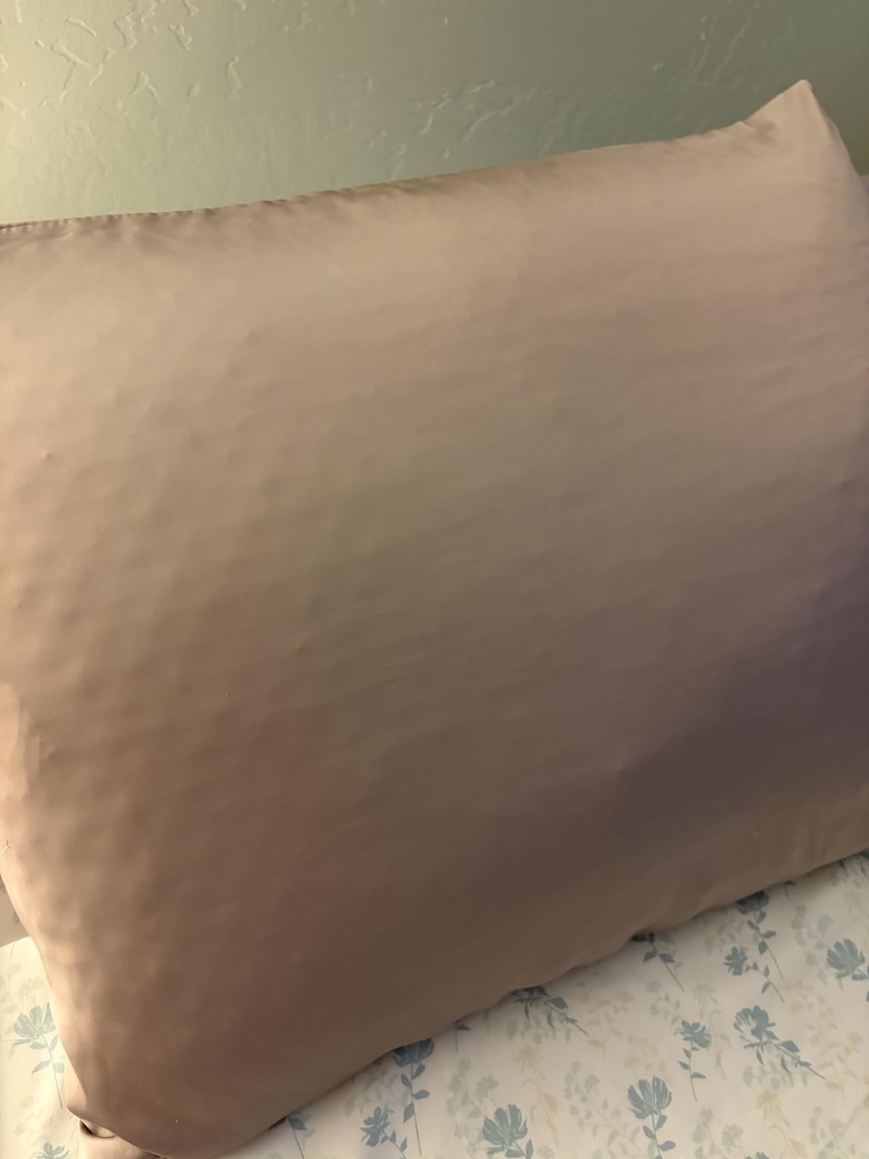 Silk Pillow Cases 2 Pack, Soft Breathable and Silky Standard Size Pillow Cases Set of 2, Natural Mulberry Silk Pillowcase Set of 2 for Hair and Skin with Hidden Zipper (White, 20