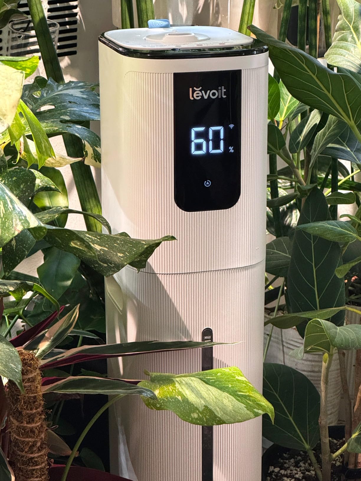 LEVOIT OasisMist 1000S (10L) Smart Humidifier for Home Large Room Bedroom, Last 100 Hours Suitable for Indoor Plant, Cover up to 600ft², Easy Top Fill, Remoter & Voice Control, Auto Mode, Quiet, White customer photo 1