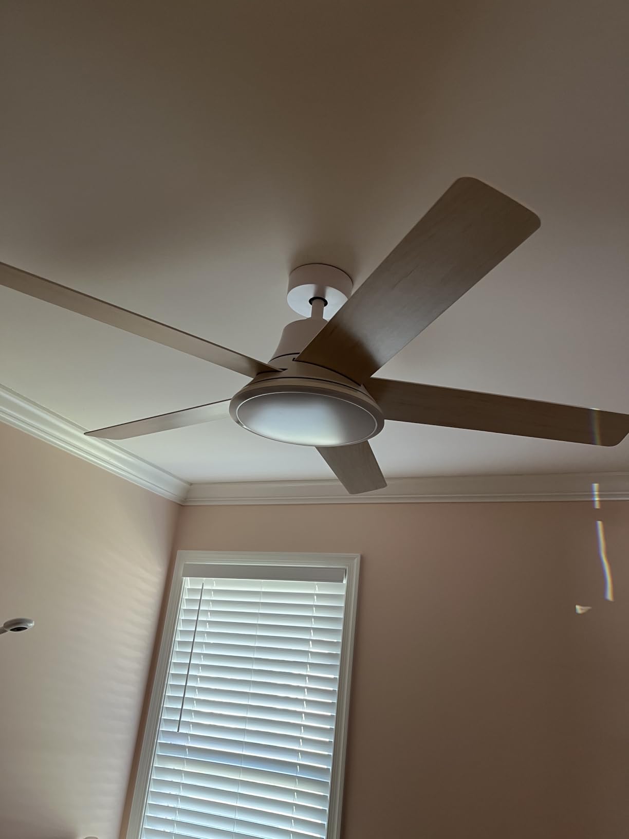DREO Smart Ceiling Fan with Lights, 52 Inch, 12 Speeds & 3 Fan Modes, Stepless Dimmable LED Light, Timer, 22dB Quiet DC Motor, Remote/APP/Alexa Control, Black Ceiling Fans Indoor, 2026 Upgraded customer photo 1