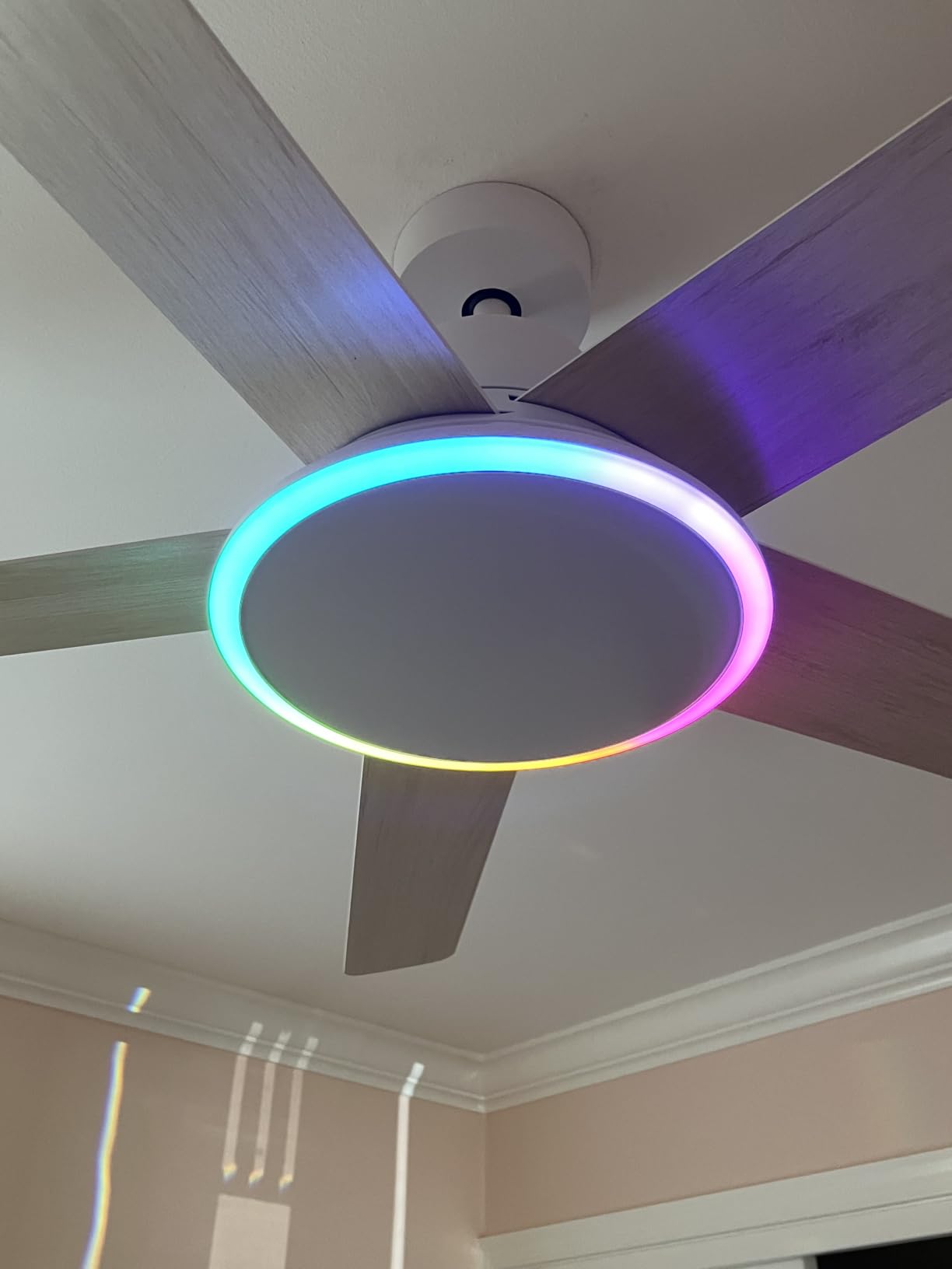DREO Smart Ceiling Fan with Lights, 52 Inch, 12 Speeds & 3 Fan Modes, Stepless Dimmable LED Light, Timer, 22dB Quiet DC Motor, Remote/APP/Alexa Control, Black Ceiling Fans Indoor, 2026 Upgraded customer photo 2