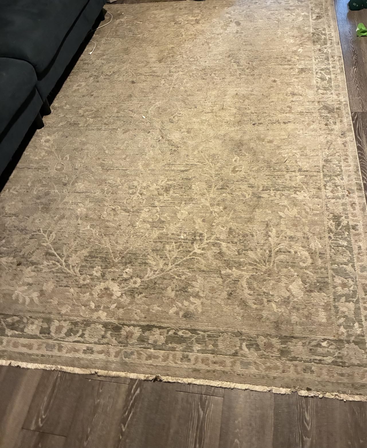 Shark CarpetXpert HairPro | Upright Carpet, Area Rug & Upholstery Cleaner | StainStriker Handheld Tough Stain Remover & Onboard Self Clean | Pet Hair Pickup & Odor Removal | 4 Tools | Copper | EX301 customer photo 2