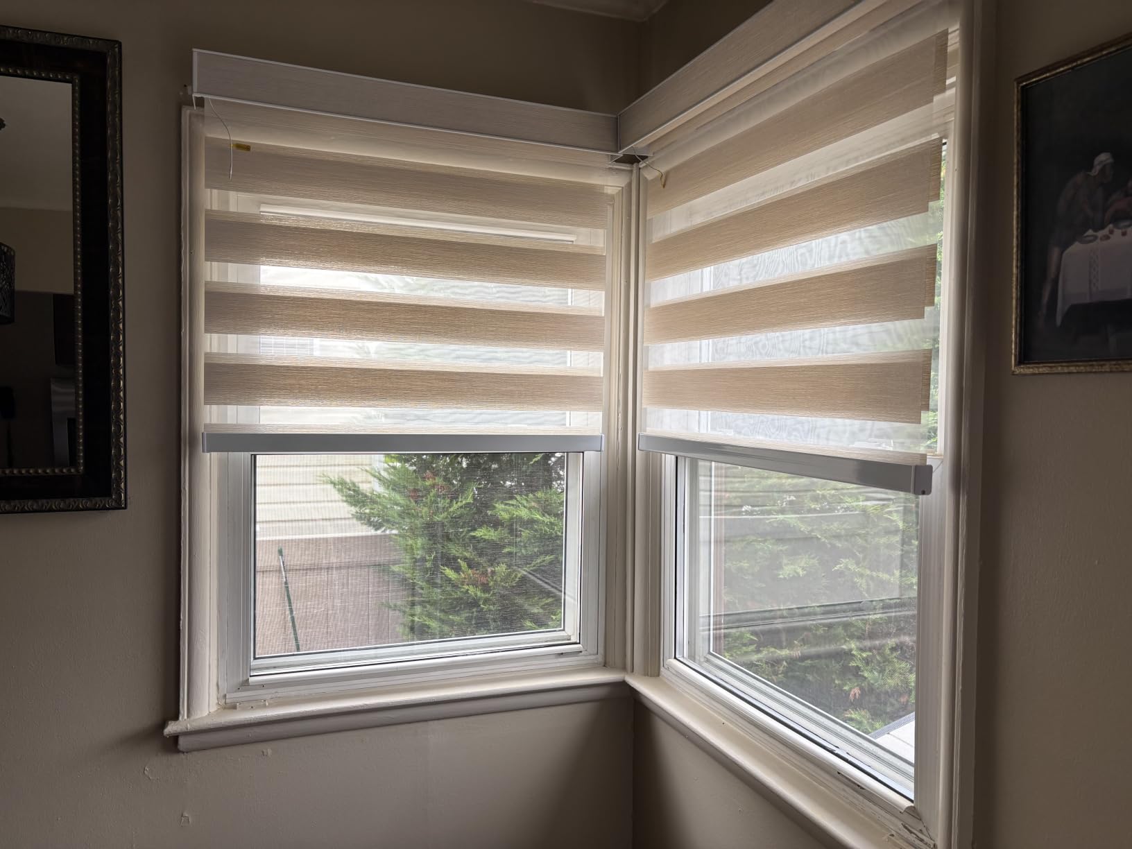 Motorized Blinds with Remote App Voice Control, Custom Zebra Shades | Ultra Quiet Electric Blinds for Windows Doors, Work with Apple Homekit, Alexa, Google Home (100% Blackout Gentle White) customer photo 1