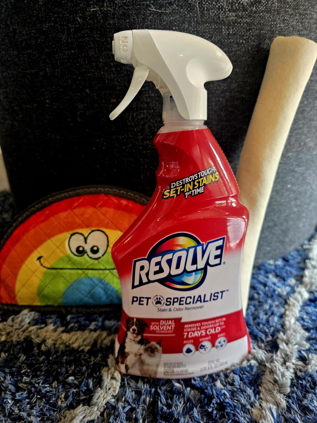 Resolve 5-in-1 Carpet Cleaner Spray - for Removal of Pet Stains & Odors Up to 7 Days Old, 22oz customer photo 1