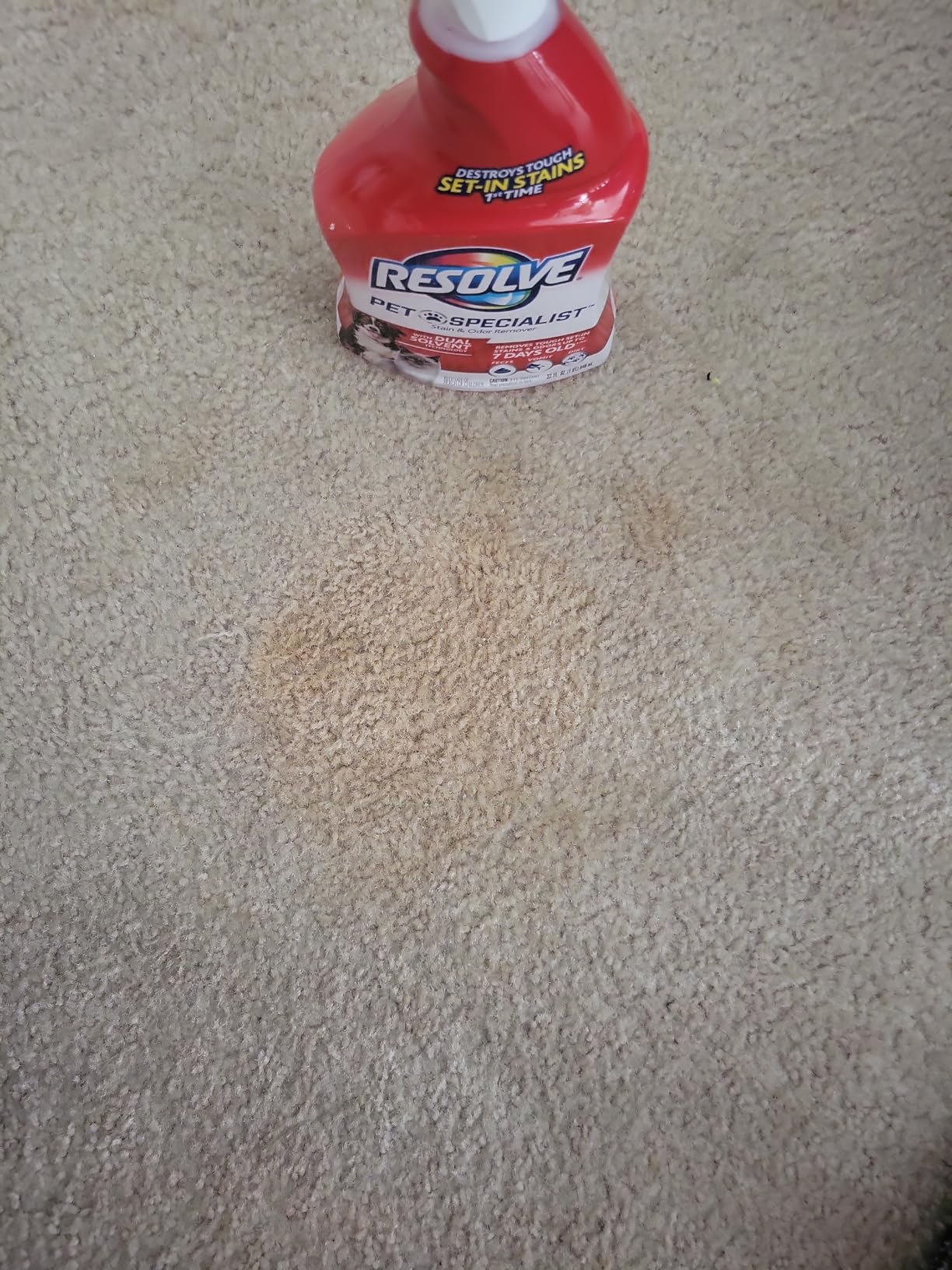 Resolve 5-in-1 Carpet Cleaner Spray - for Removal of Pet Stains & Odors Up to 7 Days Old, 22oz customer photo 2