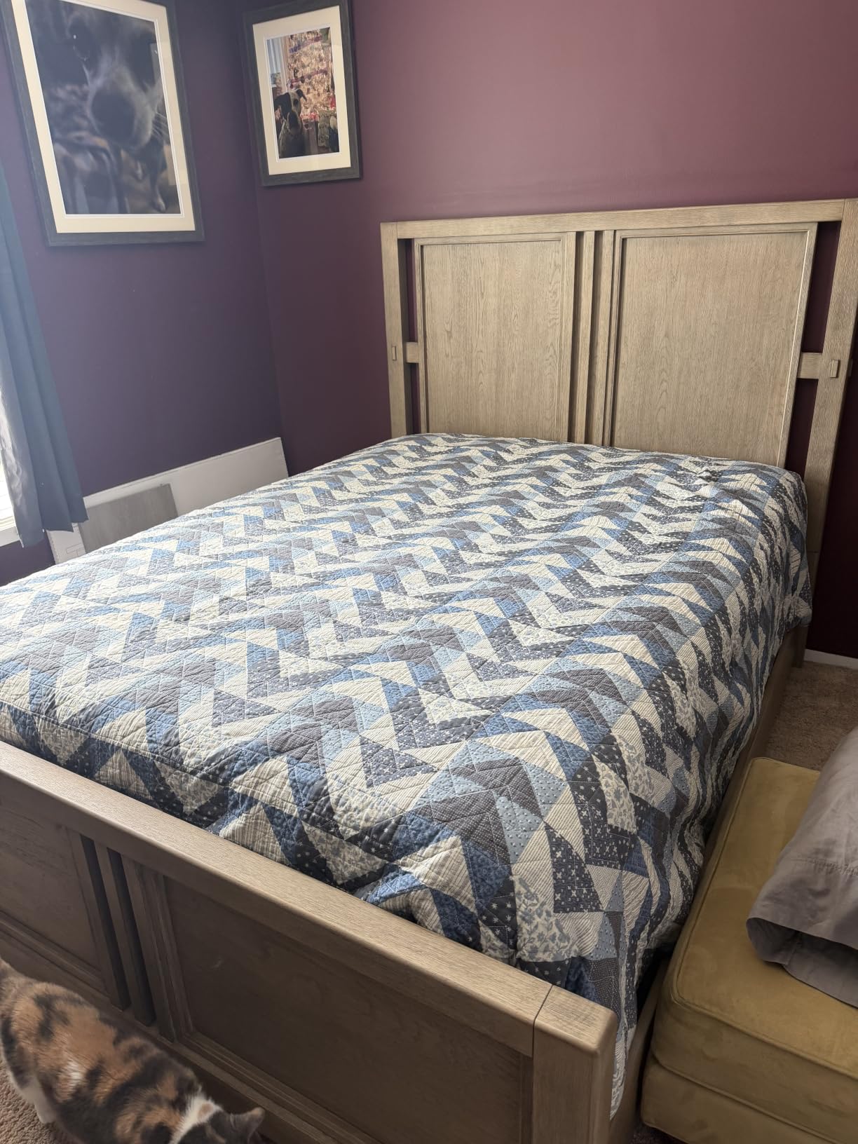 Serta baselogic Level 1 Adjustable Base Bed Frame Queen | Head Adjustability, Wired Remote, Removable Legs for Zero-Clearance Design, and Foldable for Convenient Mobility and Storage customer photo 1