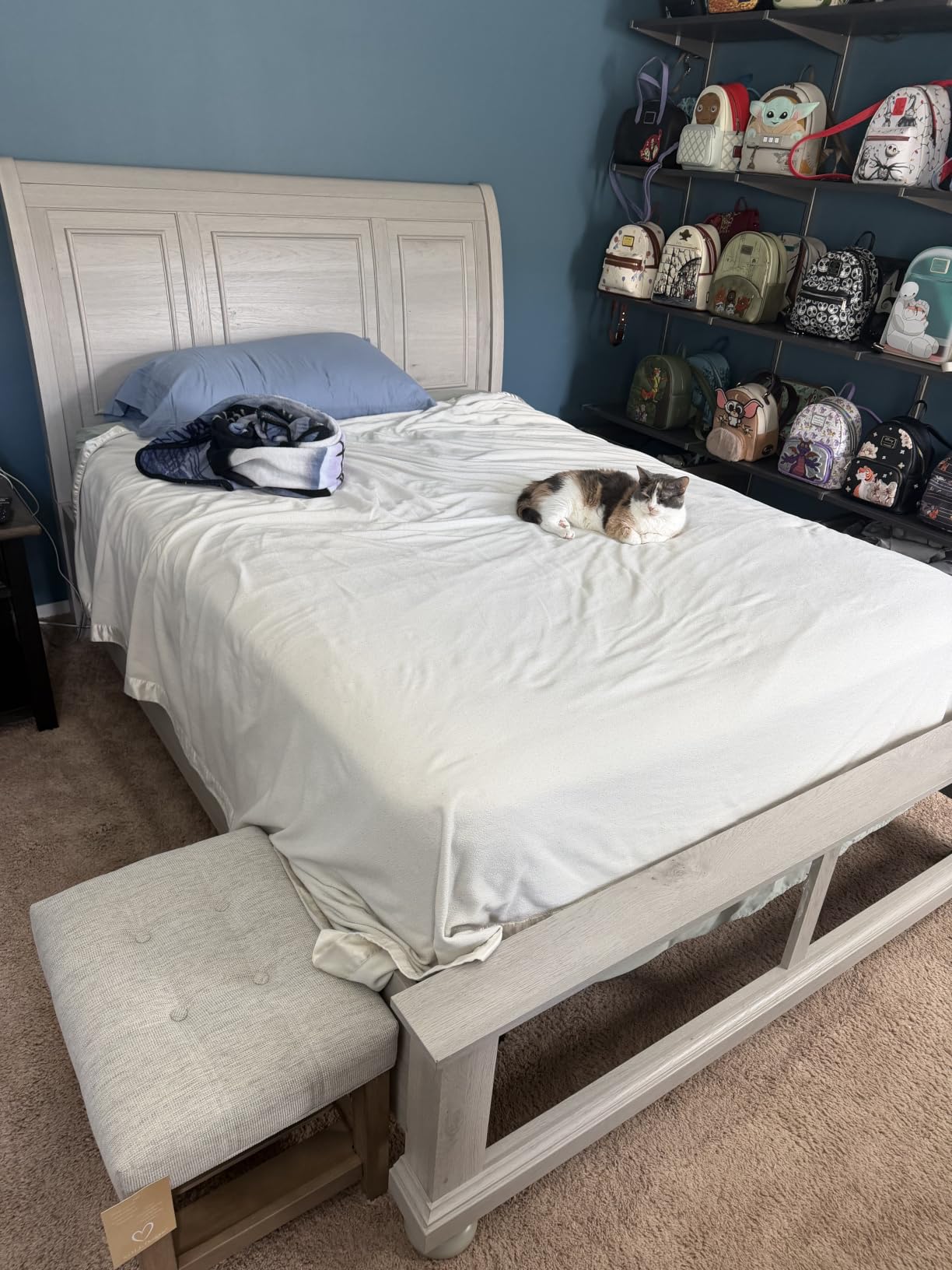 Serta baselogic Level 1 Adjustable Base Bed Frame Queen | Head Adjustability, Wired Remote, Removable Legs for Zero-Clearance Design, and Foldable for Convenient Mobility and Storage customer photo 2