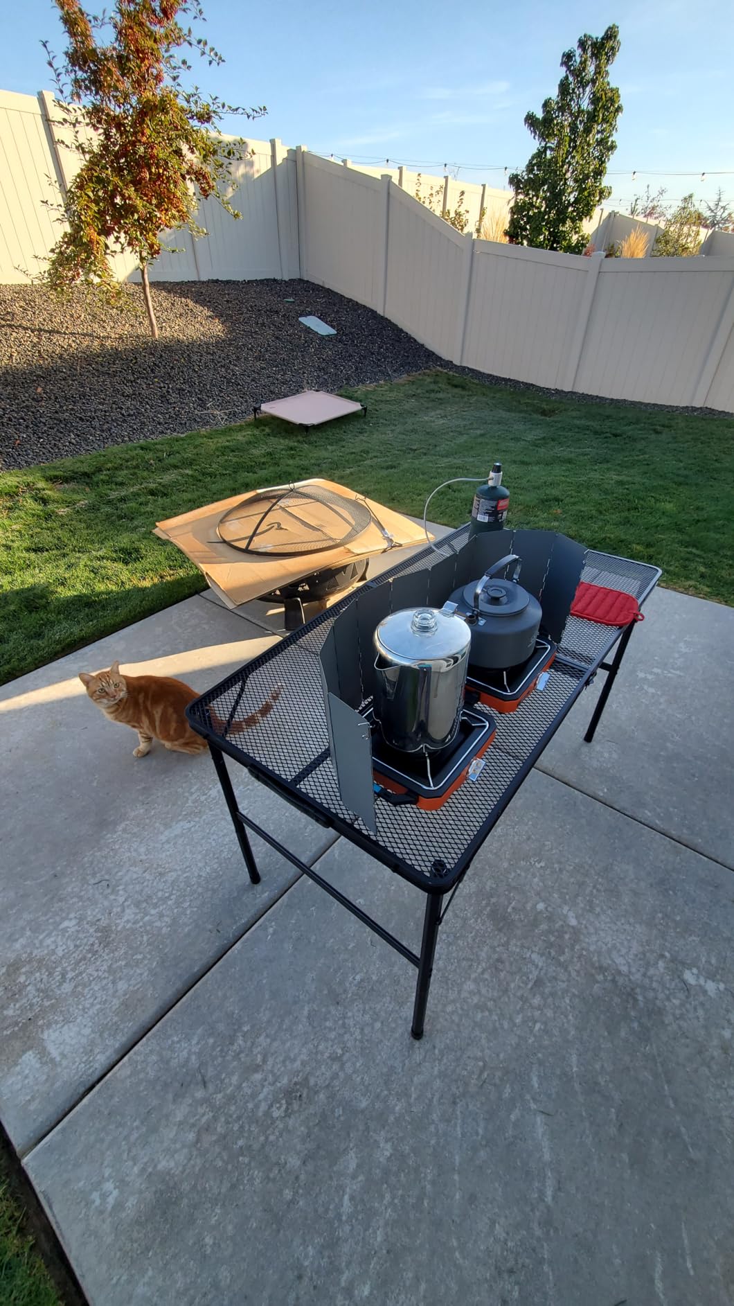 ODSD 2 Burner Camping Stove with Windshield, 20000 BTU Propane Camp Stove, Portable Folding Gas Stove, Camping Essentials Gear Includes Frying Pan, Coffee Stand & Carry Bag, Green customer photo 2