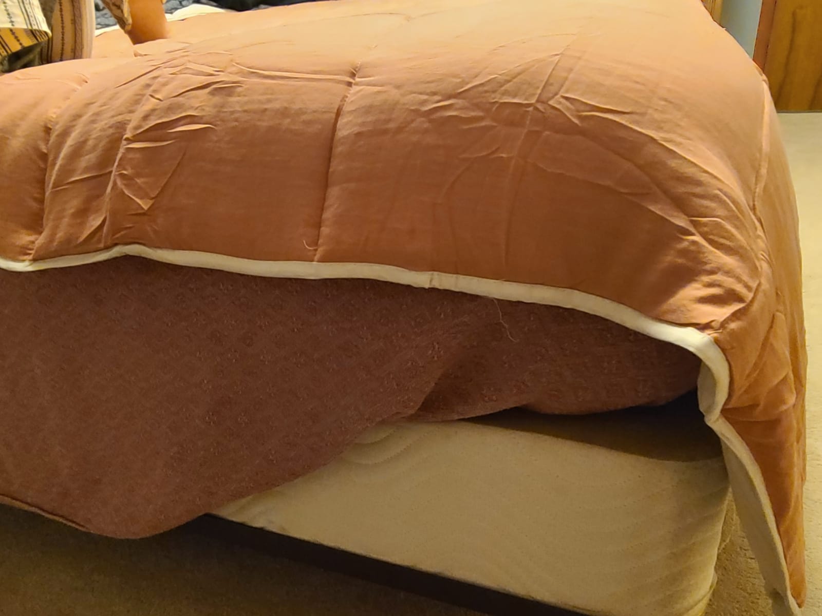 Goose Feather Down Fiber Comforter Oversized King, All Season customer photo 2