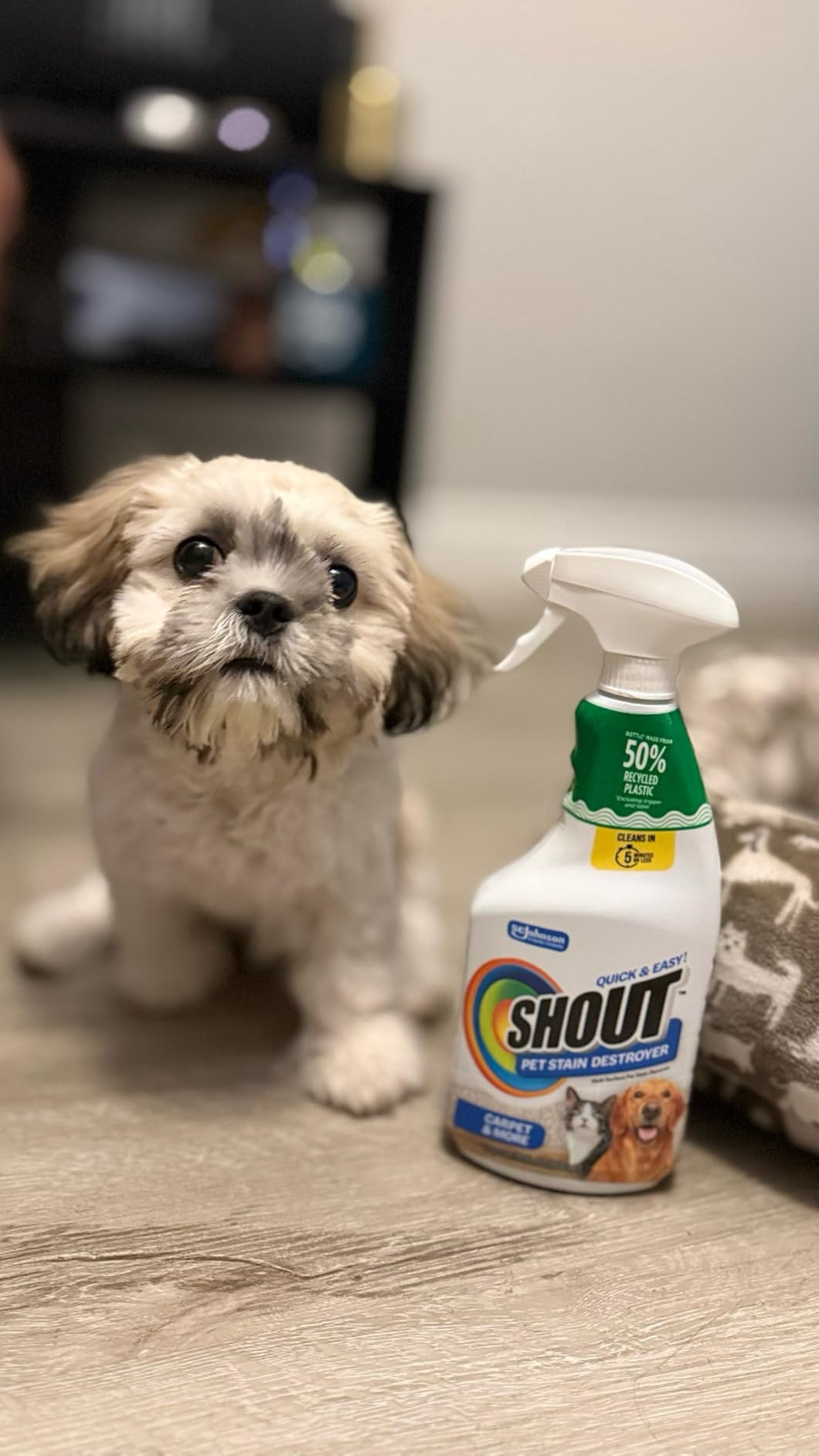 Shout Pet Stain Remover Spray, Color-Safe Multisurface & Carpet Cleaner for Dog & Cat Urine, Feces, Vomit & Mud, 22oz customer photo 1