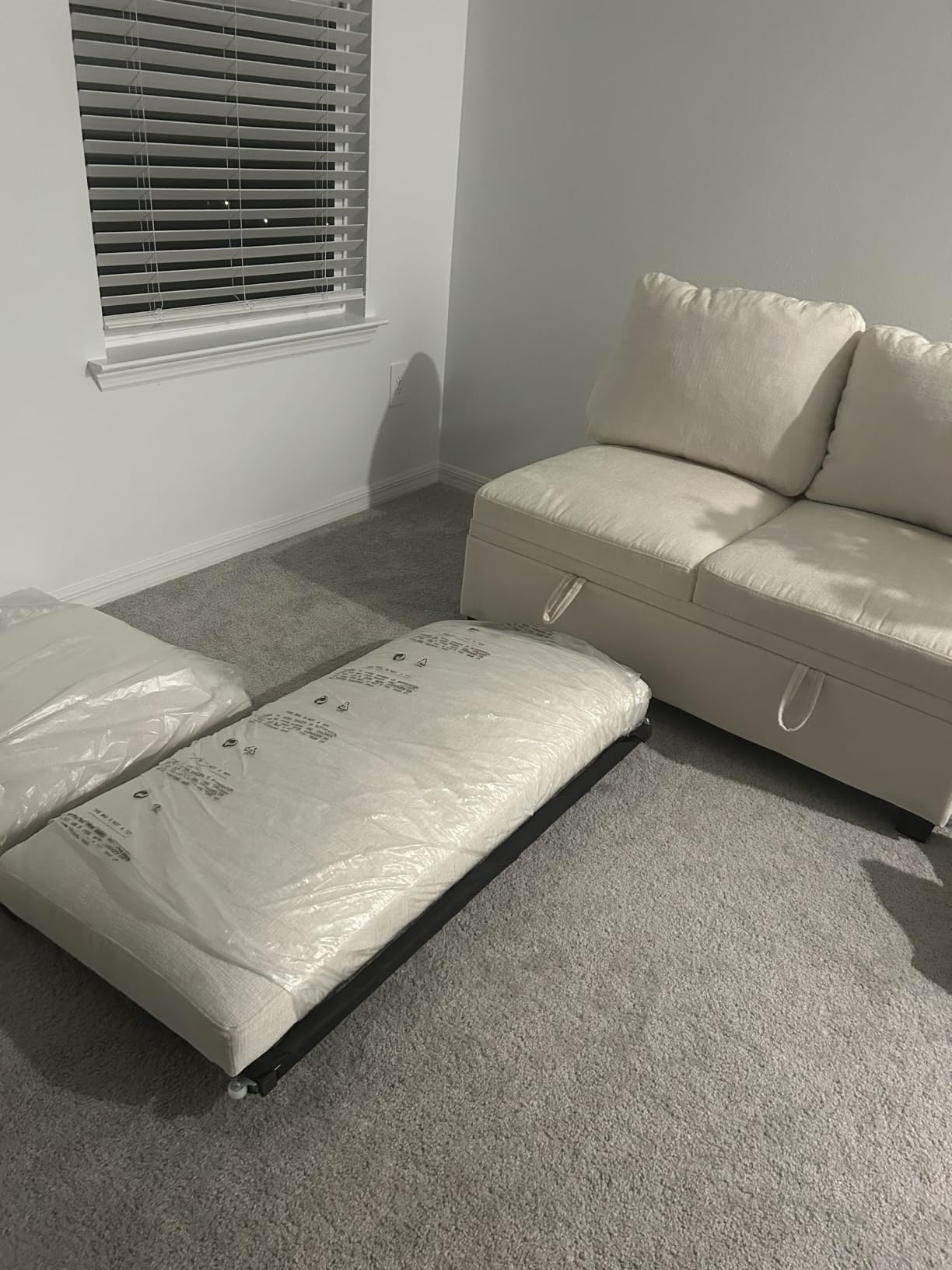 85 Inch Modular Sectional Sleeper Sofa with Pull Out Bed, L Shaped 5 Seat Sectional Couch with Storage, Modern Chenille Cloud Couch, Beige customer photo 1