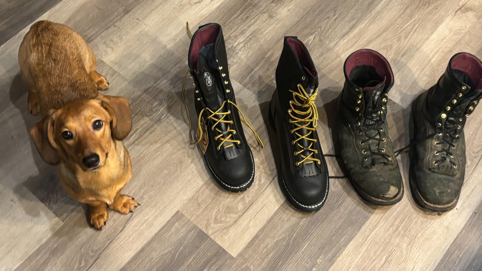 Georgia Boot Men's Low Heel Logger GORE-TEX Waterproof Insulated Work Boots customer photo 2