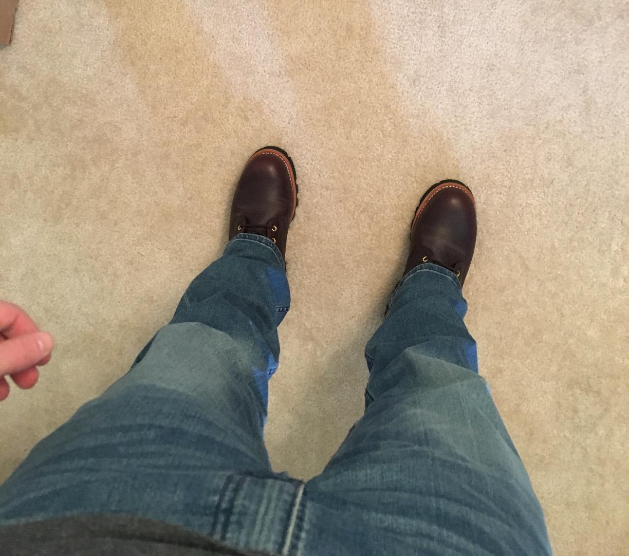 Chippewa Paladin 8