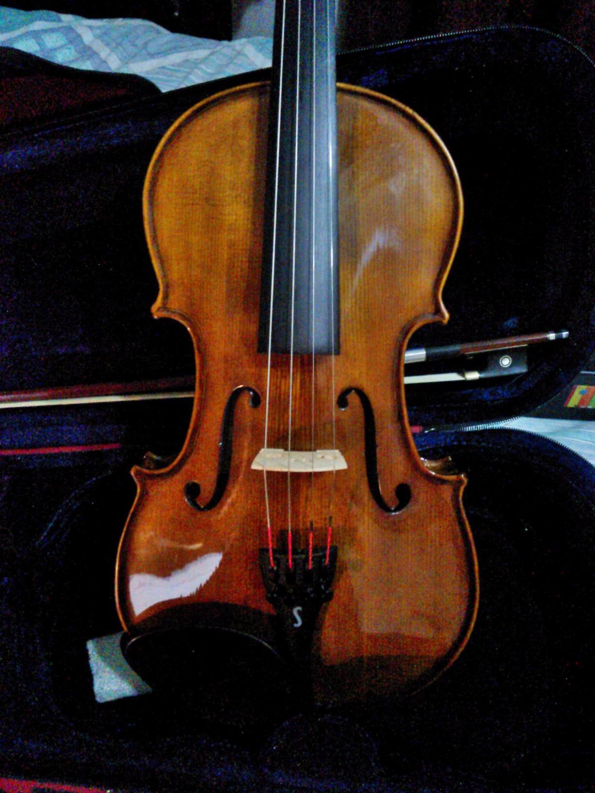 Stentor 1500 1/2 4-String Violin customer photo 1