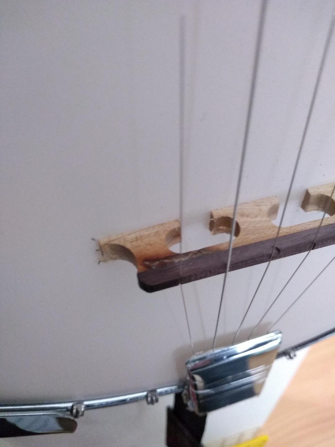 Jameson Guitars 5-String Banjo 24 Bracket with Closed Solid Back and Geared 5th Tuner customer photo 1