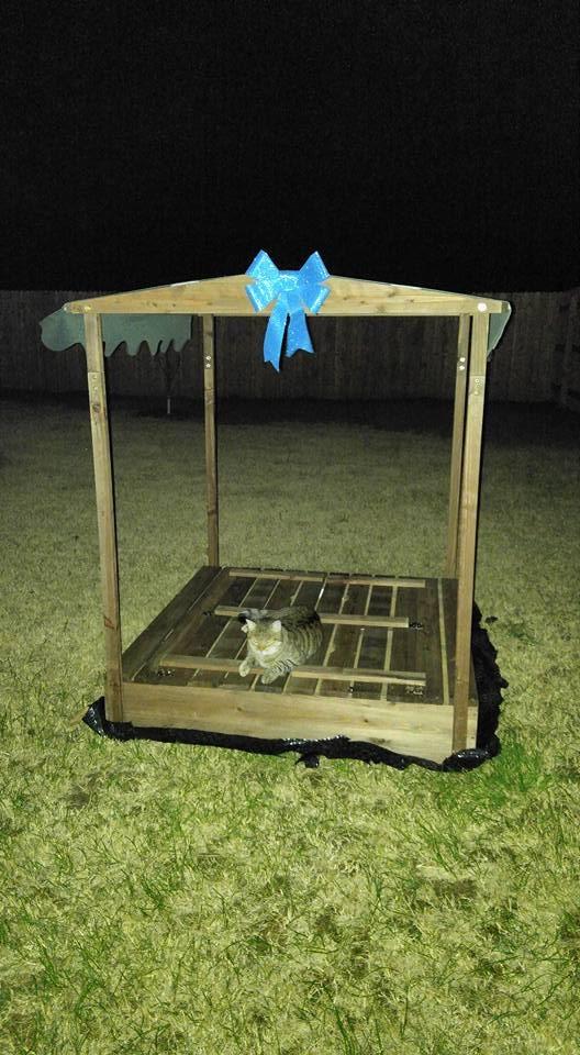 Badger Basket Sandbox for Kids with Canopy & Benches - Outdoor Convertible Wooden Sandbox with Lid, UV Shade & Built-In Seating - Backyard Playset (46.5 x 46.5 x 57) customer photo 2