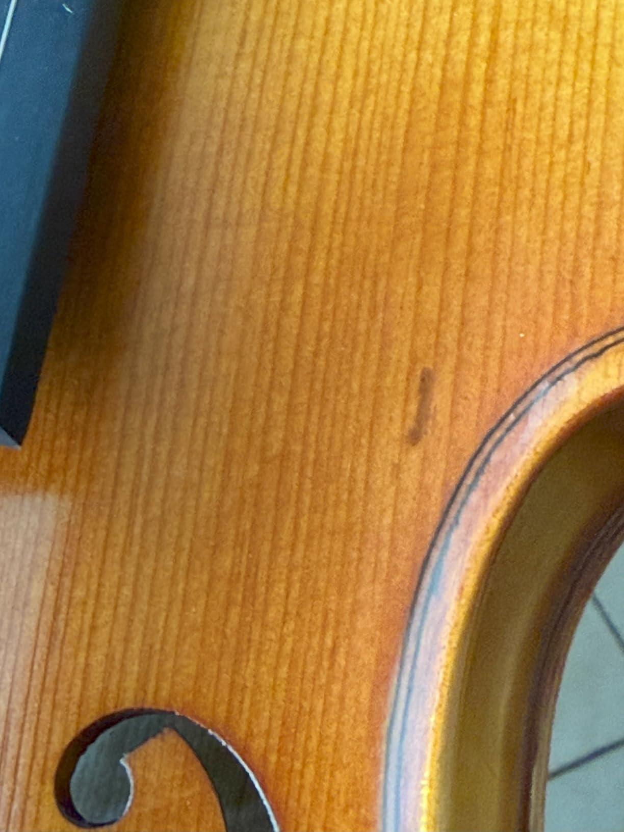 Cecilio Violin 4/4 Full Size Kit Hand Oil Rub Highly Flamed 1-Piece Back Solidwood Violin with Premium Strings, Size 4/4 (Full Size) customer photo 2