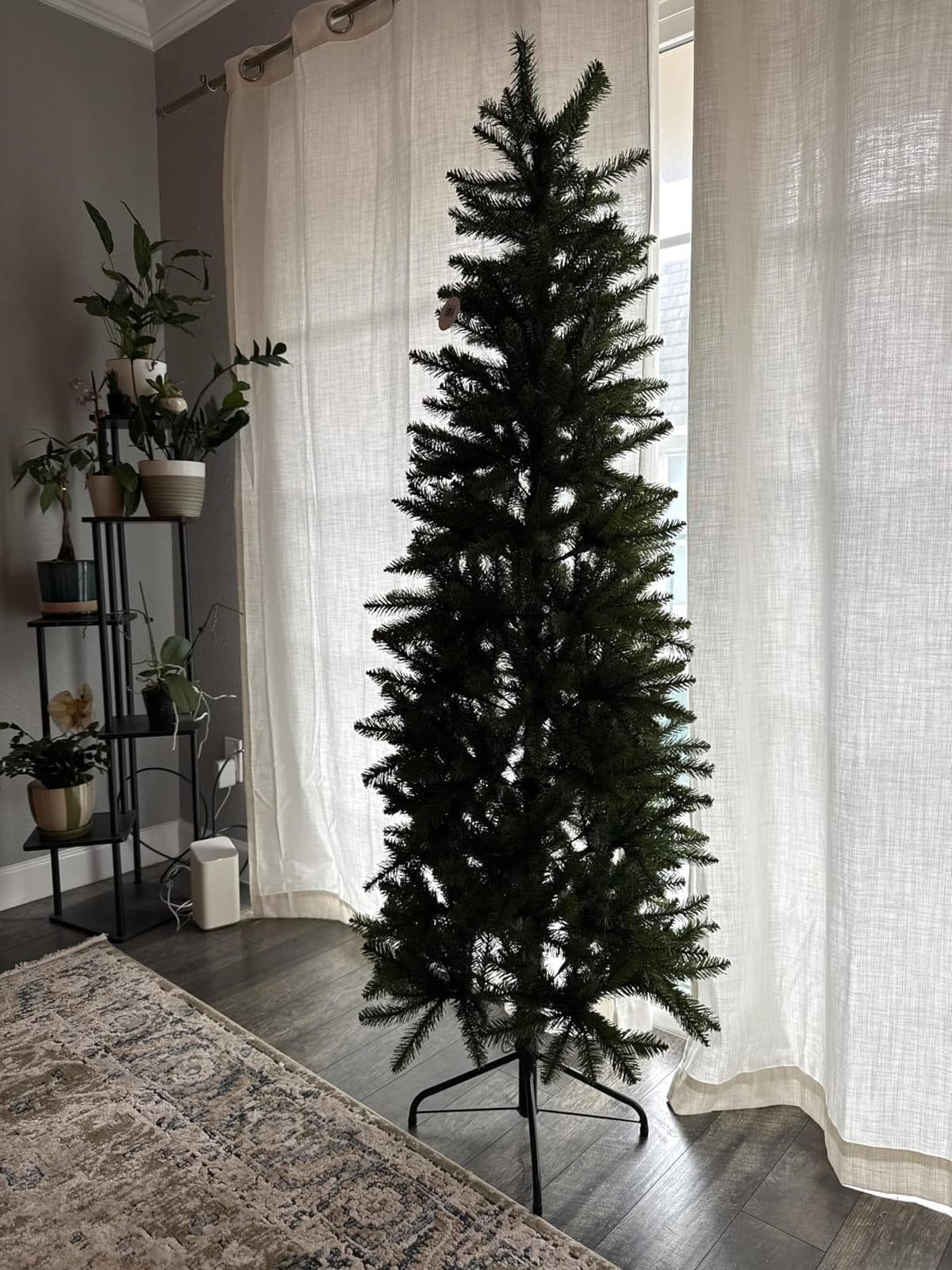 National Tree Company 6ft Unlit Kingswood Fir Slim Christmas Tree customer photo 2