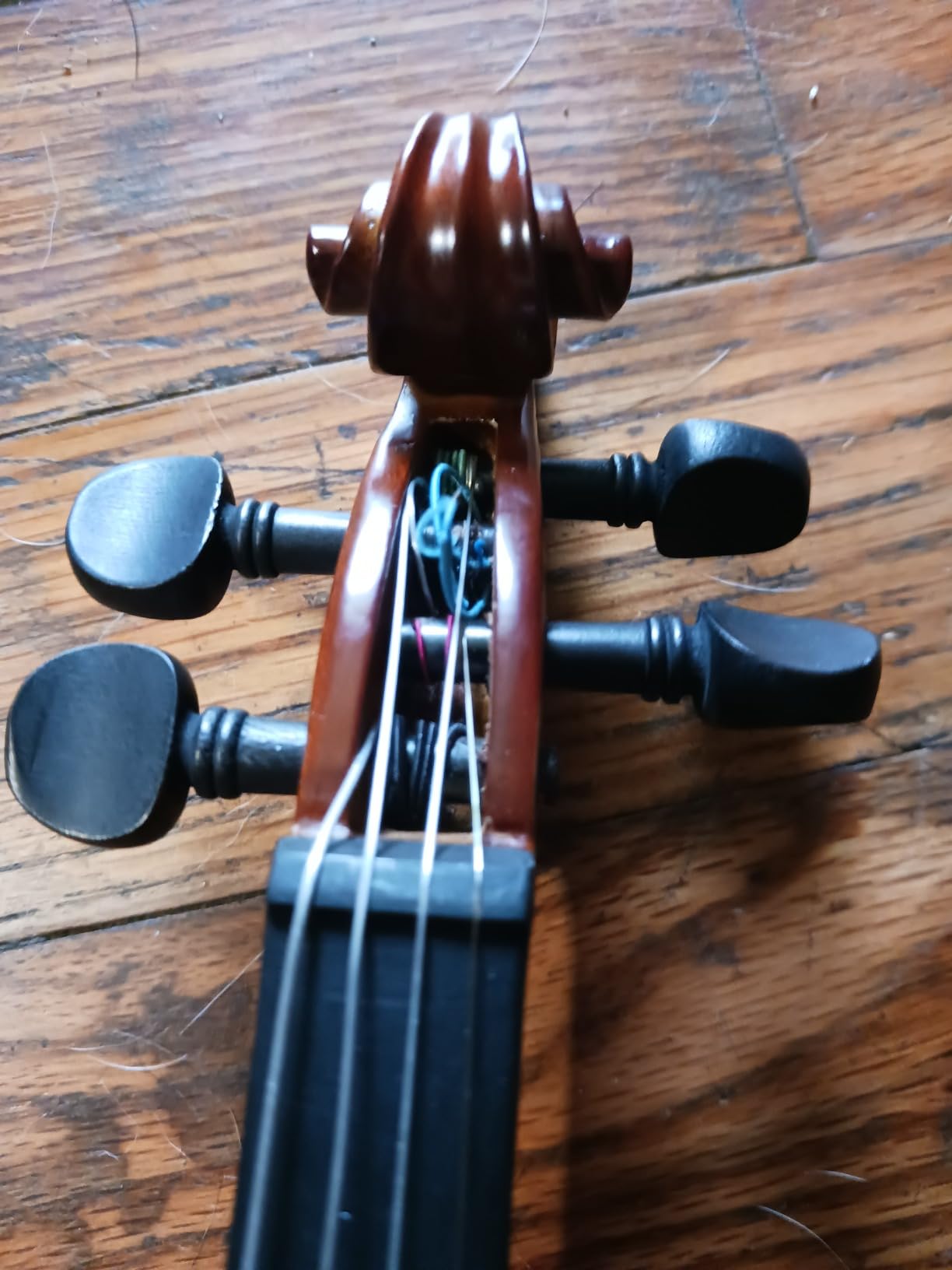 Paititi 1/2 Size Artist-100 Student Violin Starter Kit with Brazilwood Bow Lightweight Case, Shoulder Rest, Extra Strings and Rosin customer photo 1