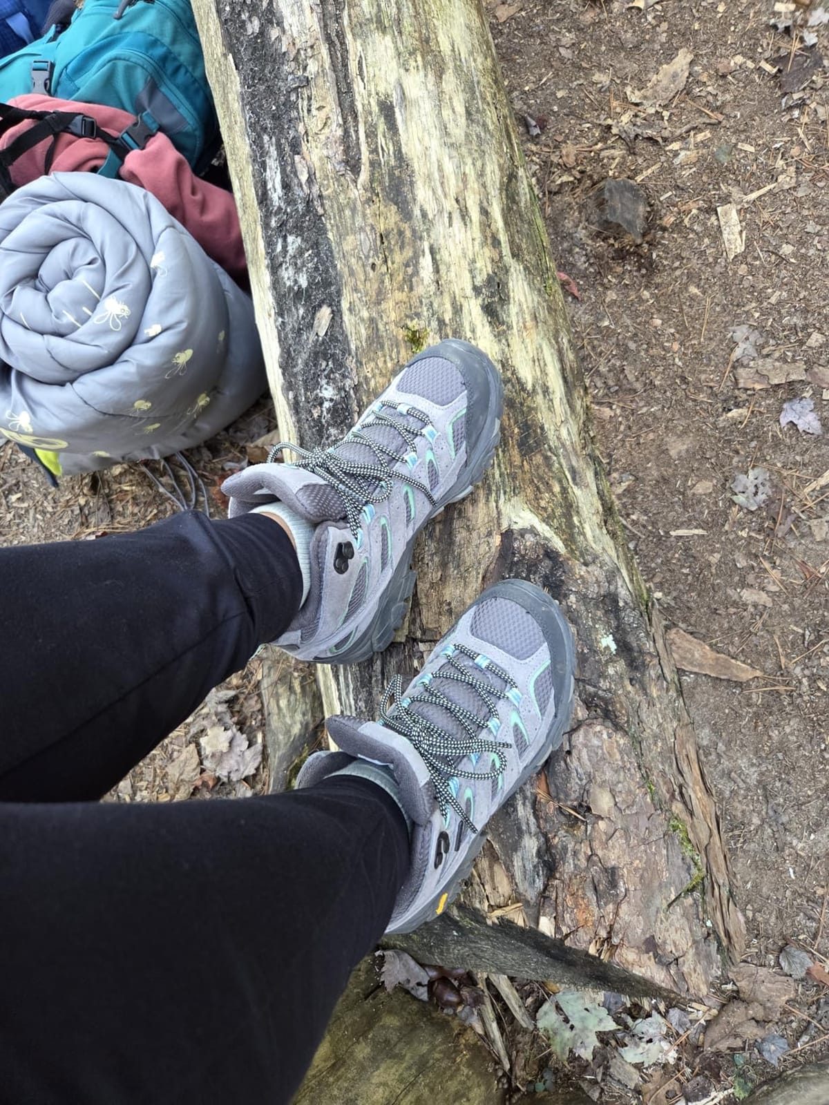 Merrell Women's Moab 2 Mid Waterproof Hiking Boot customer photo 1