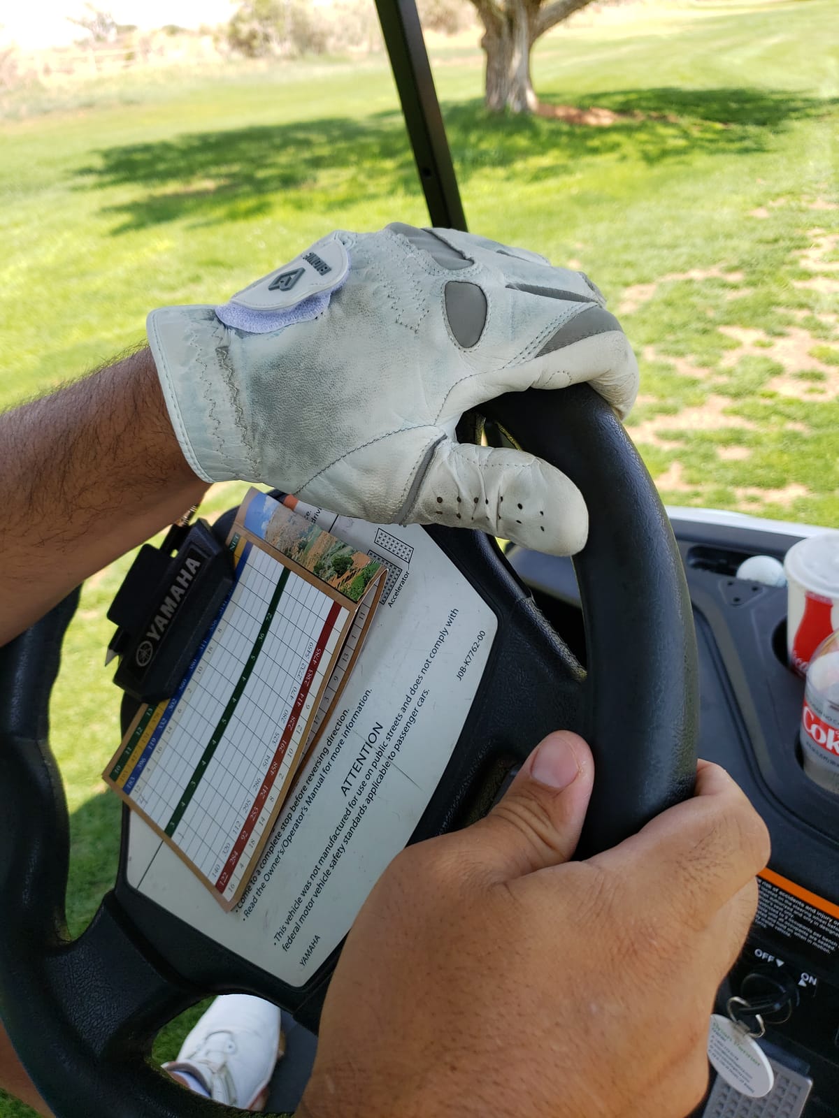Bionic Men's Performance Grip Pro Premium Leather Golf Glove customer photo 1