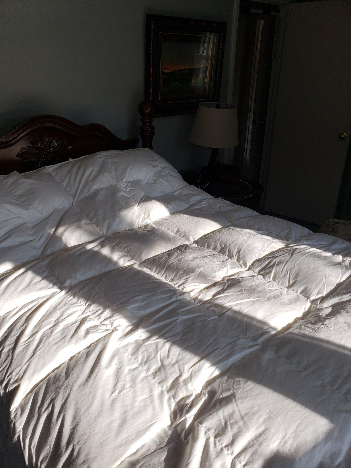 Globon Winter Goose Down Comforter King Size,800 Fill Power Duvet Insert customer photo 1