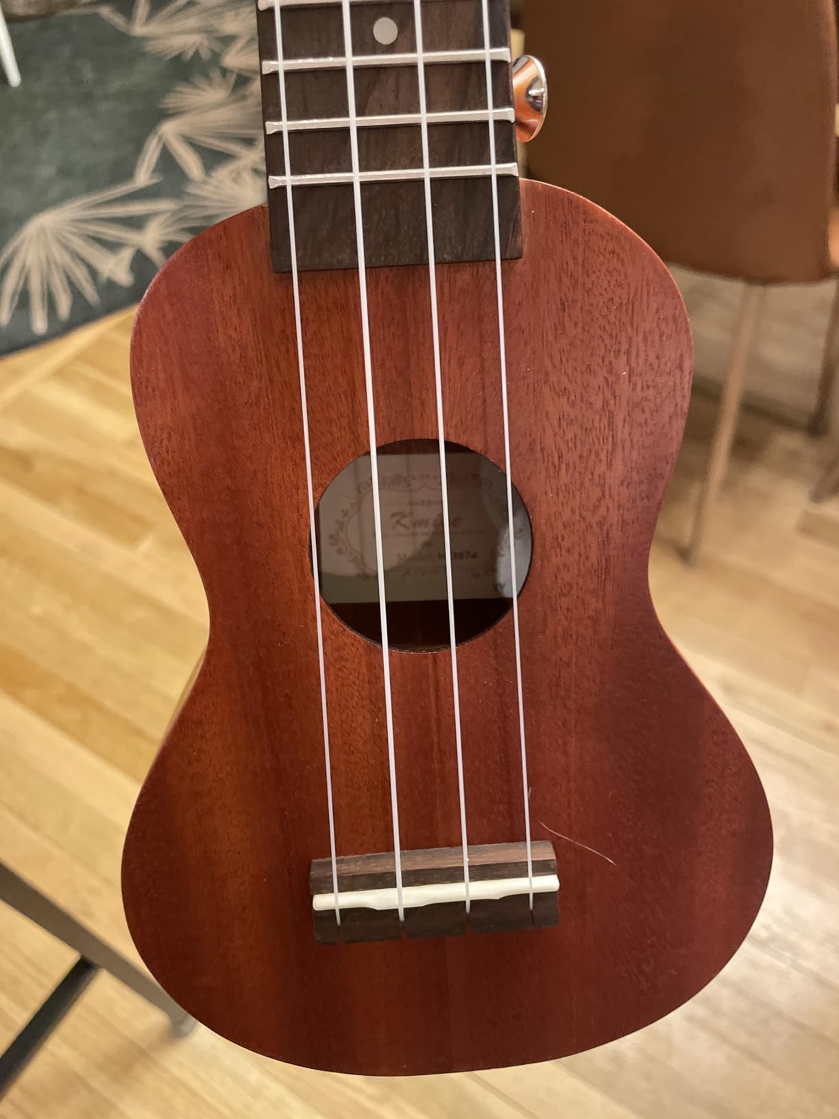Kmise Professional Ukulele for Adult Beginner, Free Online Lesson 21 inch Soprano Mahogany Ukelele with Kids Ukele Bundle Starter Kit Gig Bag Case, Strap, Tuner, Nylon Strings, Book, Uke Gift Choice customer photo 2