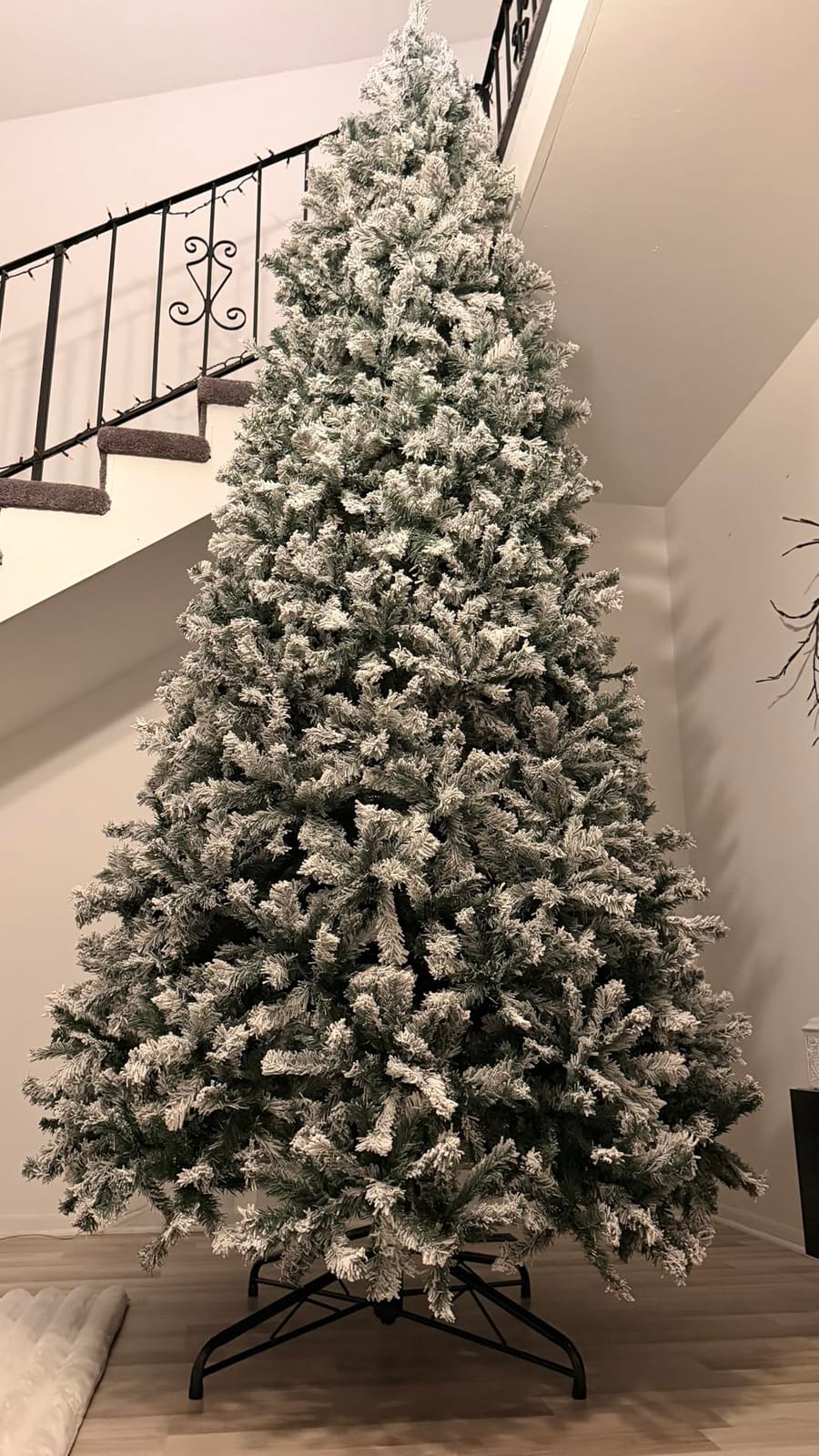 Best Choice Products Artificial Flocked Christmas Tree, 6ft Premium Unlit Pine Holiday Décor w/Full Branches, Metal Stand - Green customer photo 1