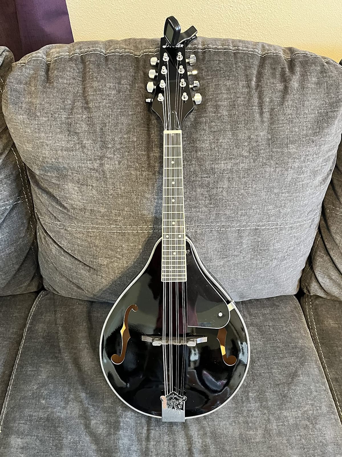 Donner A Style Mandolin Instrument Sunburst Beginner Adult Acoustic Mandolin Musical Instrument Mahogany 8 String, Bundle With Tuner String Bag Guitar Picks,DML-1 customer photo 1