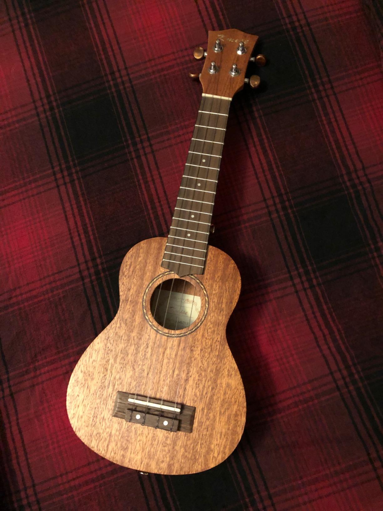 Kmise Professional Ukulele for Adult Beginner, Free Online Lesson 26 inch Tenor Mahogany Ukelele with Ukele Bundle Starter Kit Gig Bag Case, Strap, Tuner, Nylon Strings, Book, Uke Gift Choice customer photo 1