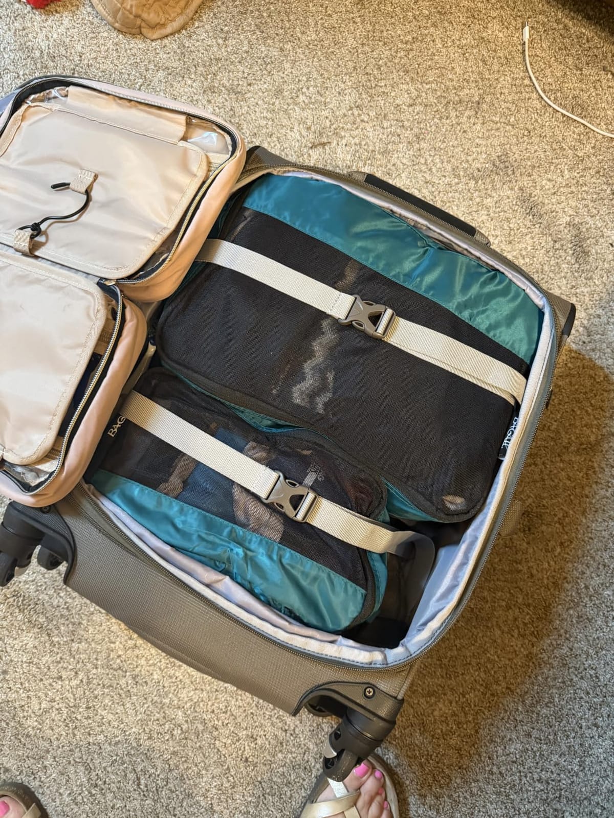 Travelpro Maxlite 5 Softside Checked Luggage Spinner, Black, 29-Inch customer photo 1