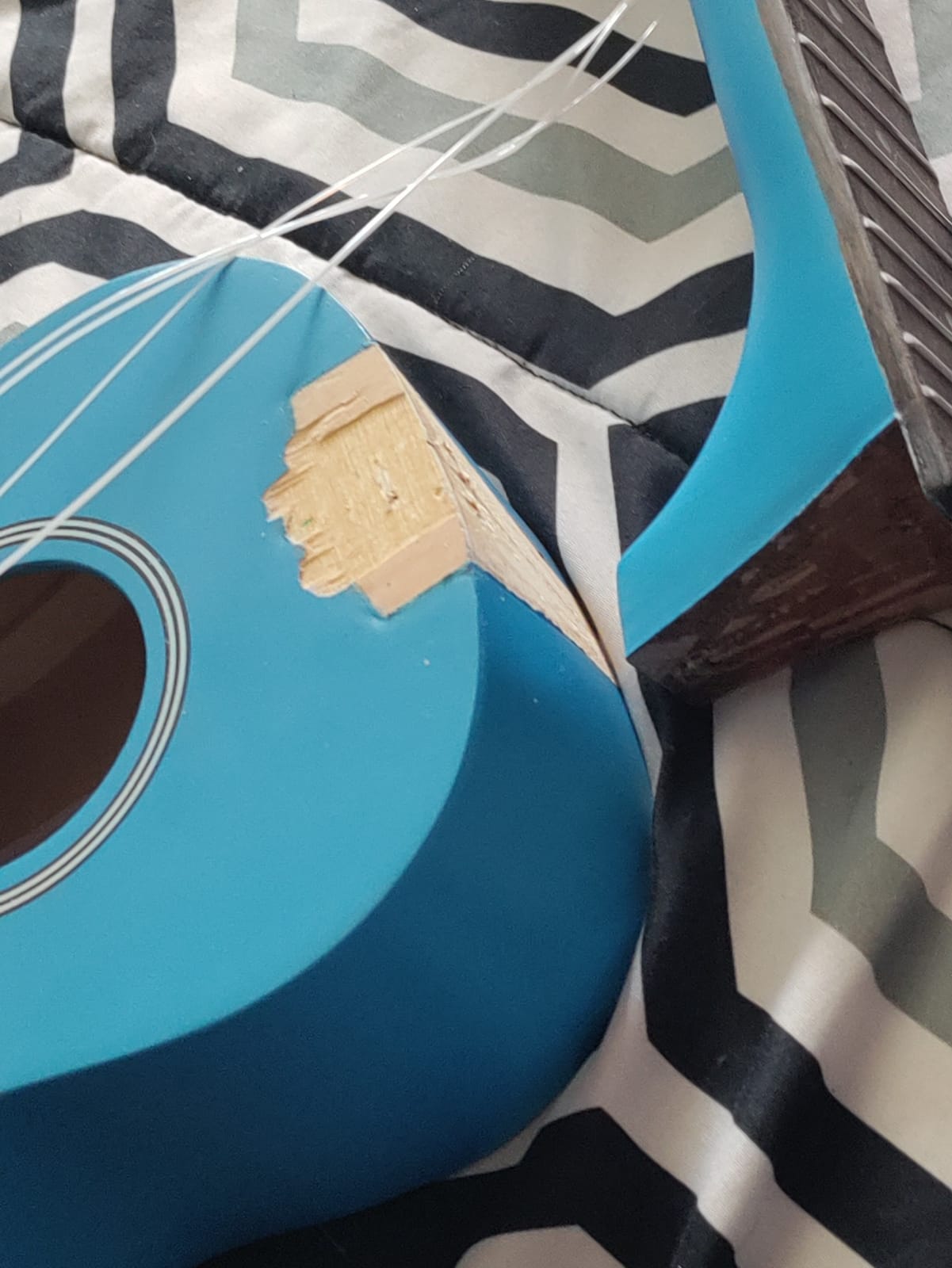 Soprano Ukulele Beginner Kit 21 Inch with Free Online Lesson Fast to Learn customer photo 1