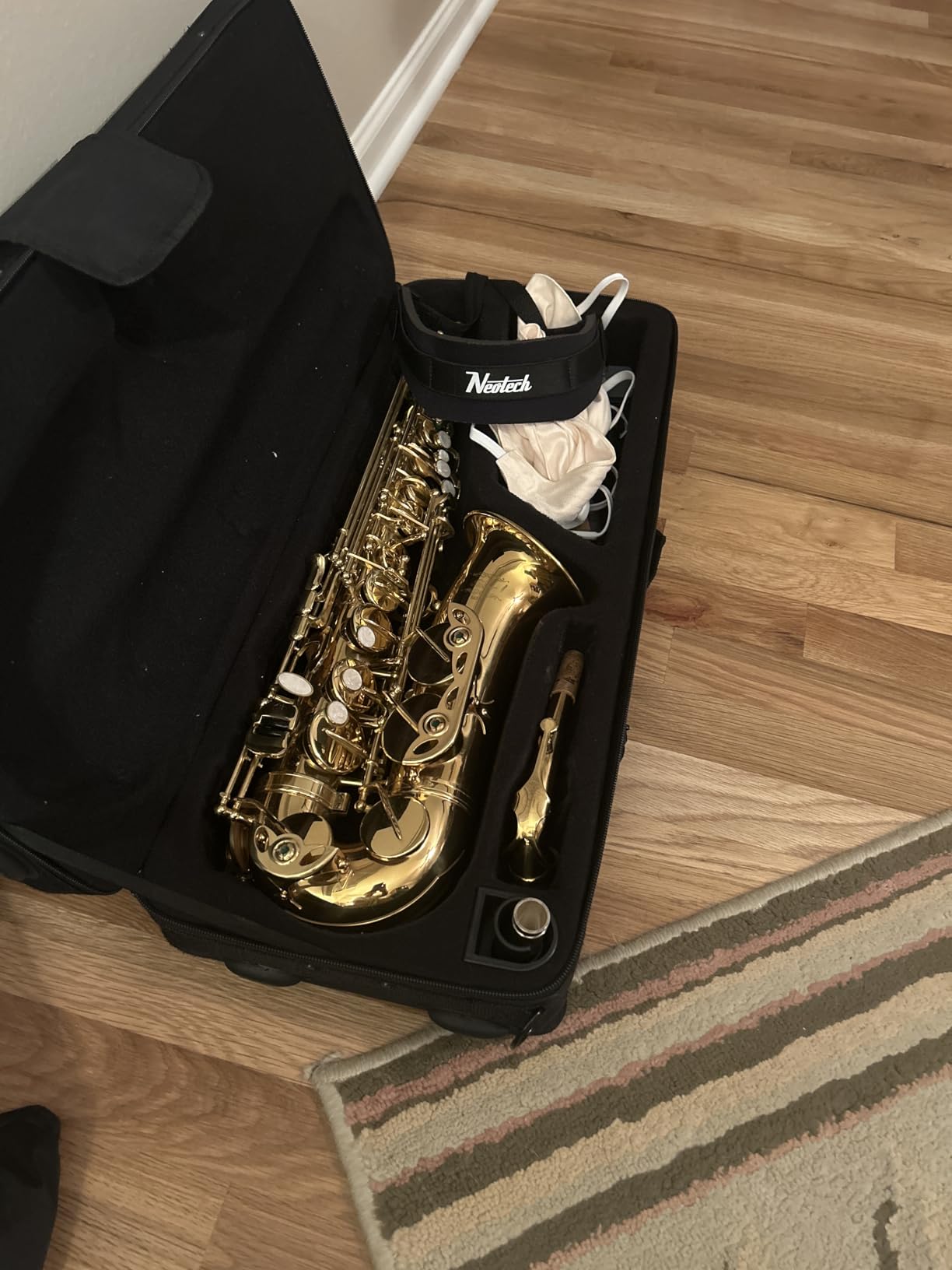 Eastar Alto Saxophone Beginner Student Eb Sax, Golden Full Kit, AS-II customer photo 2