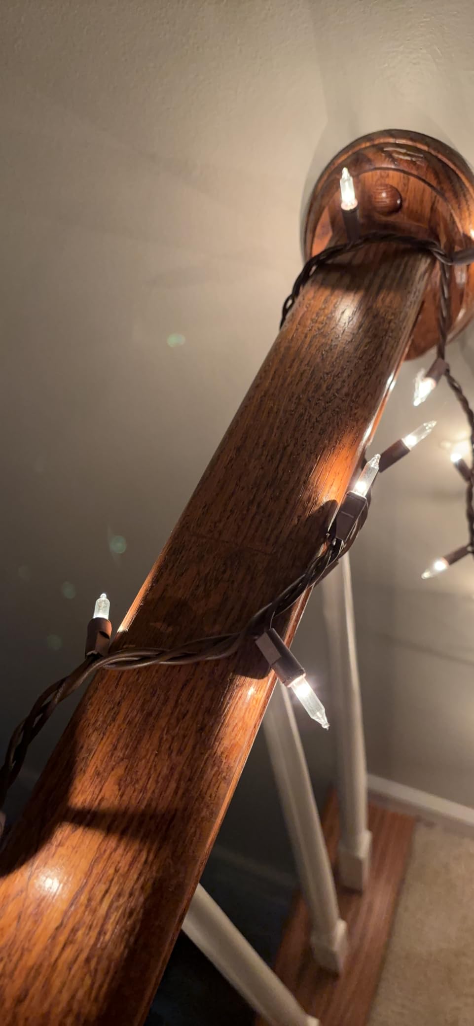 612 Vermont 100 Clear Incandescent Christmas String Lights Brown Wire Cord customer photo 1