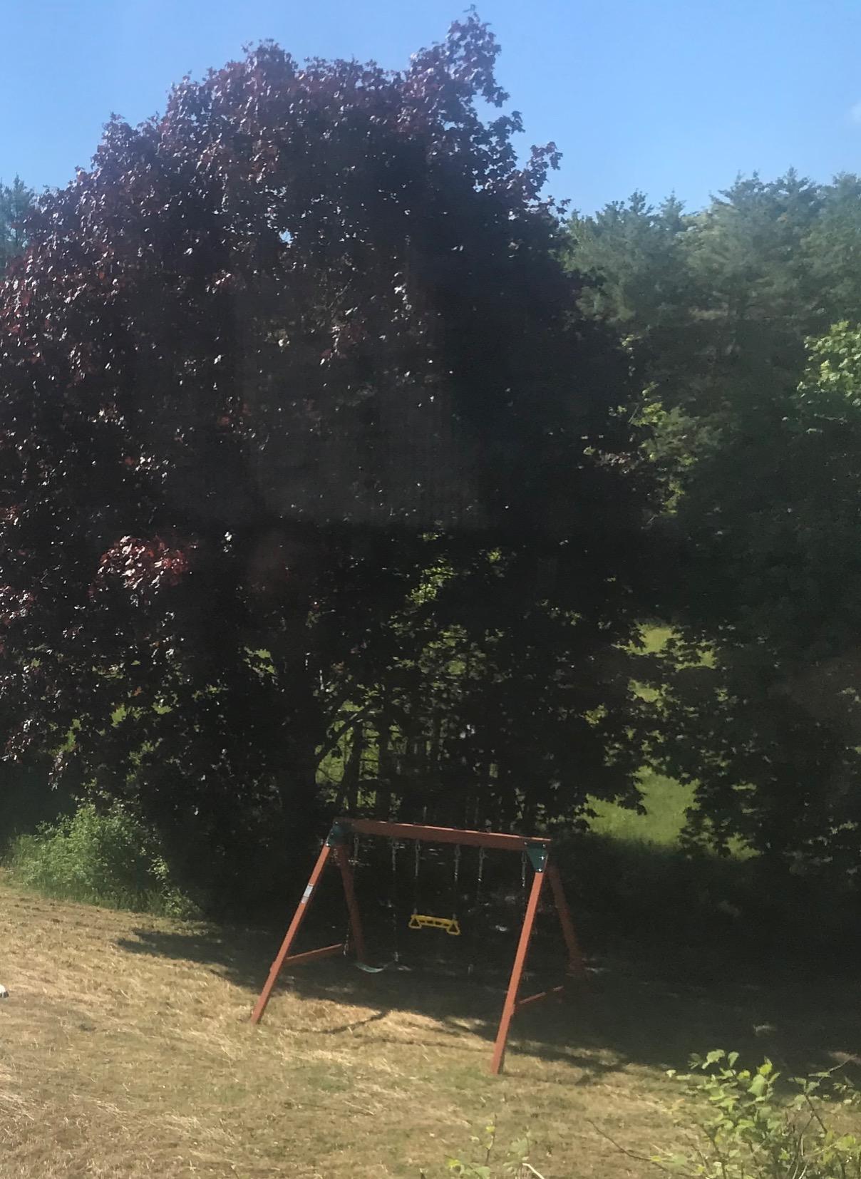 Swing-N-Slide PB 8360 Ranger Wooden Swing Set with Swings, Brown (Amazon Exclusive) customer photo 2