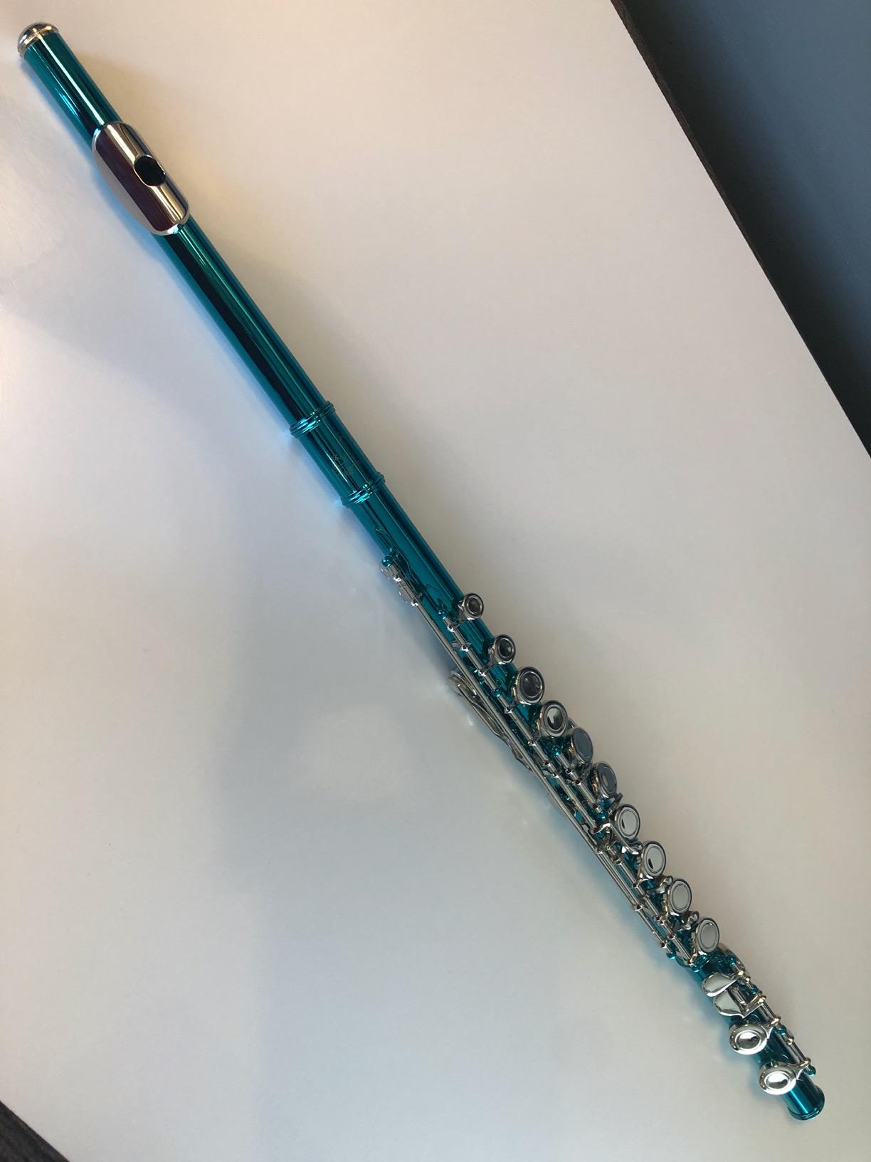 EASTROCK Closed Hole Flutes C 16 Key for Beginner, Kids, Student -Nickel Flute with Case Stand and Cleaning kit (Purple) customer photo 1
