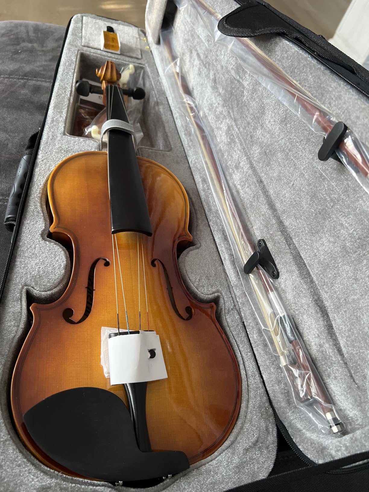 Eastar 4/4 Violin Set Full Size Fiddle Solidwood for Adults with Hard Case, Shoulder Rest, Rosin, Two Bows, Clip-on Tuner and Extra Strings, EVA-330 customer photo 1